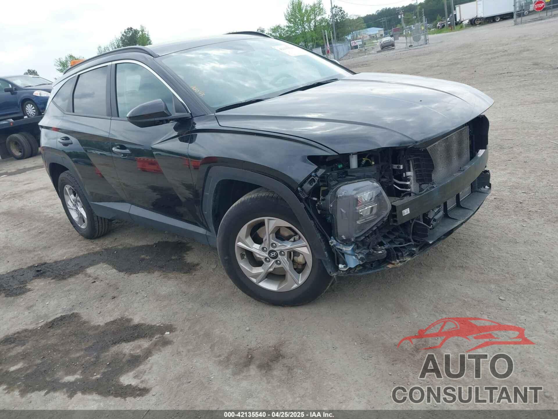 HYUNDAI TUCSON 2024 - 5NMJBCDE0RH297158