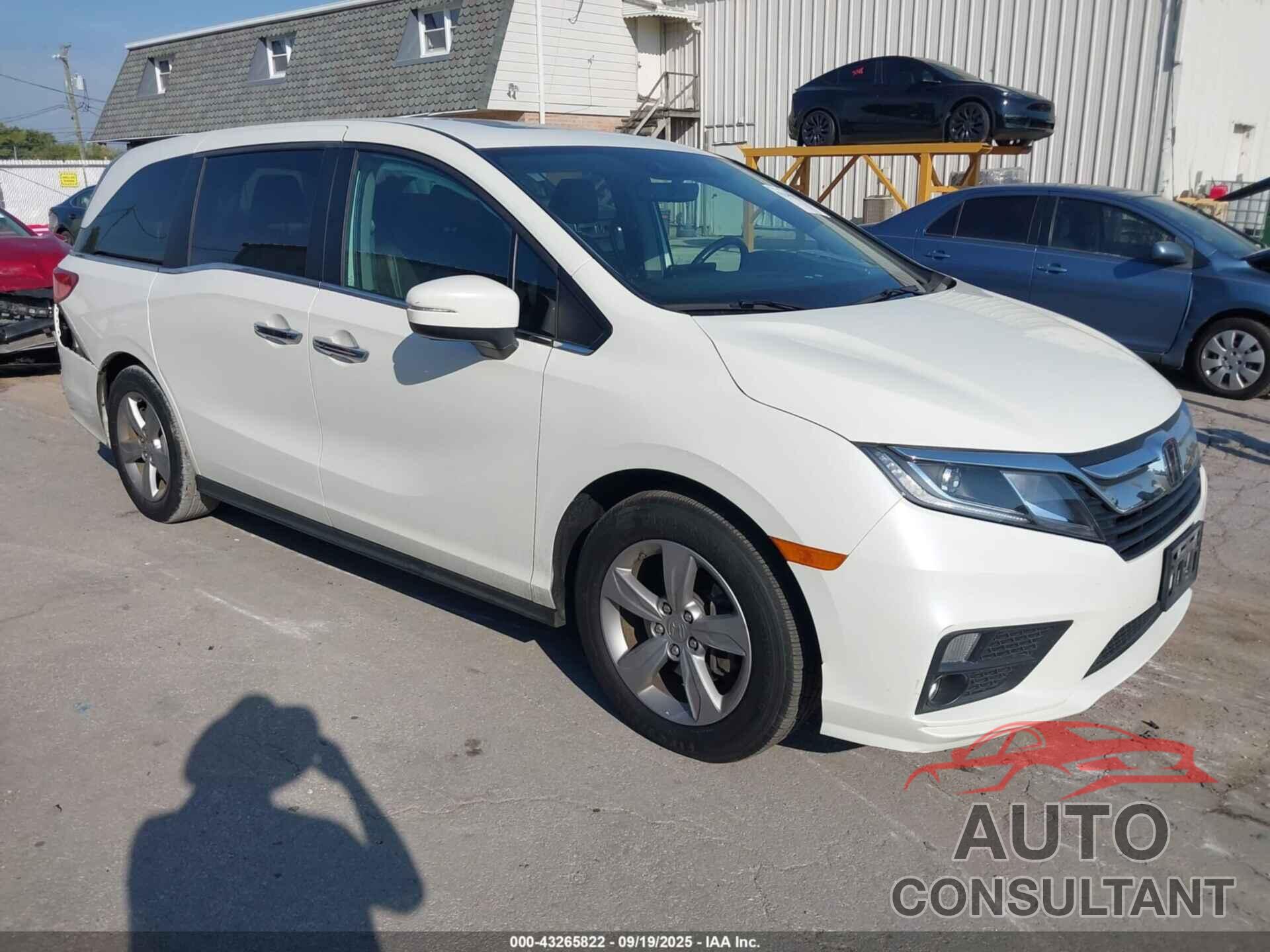 HONDA ODYSSEY 2019 - 5FNRL6H71KB114533