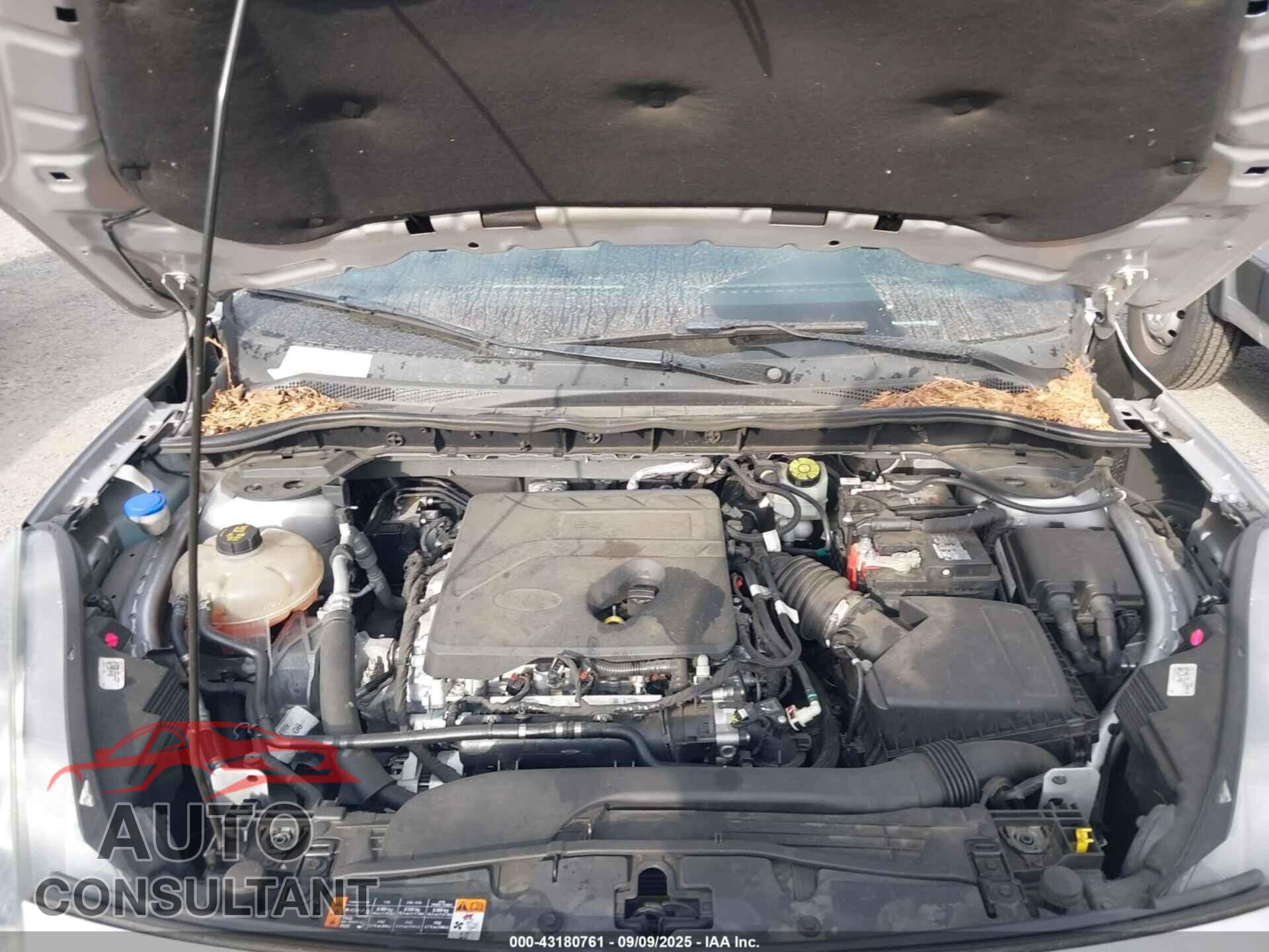 FORD ESCAPE 2020 - 1FMCU0F69LUA58260