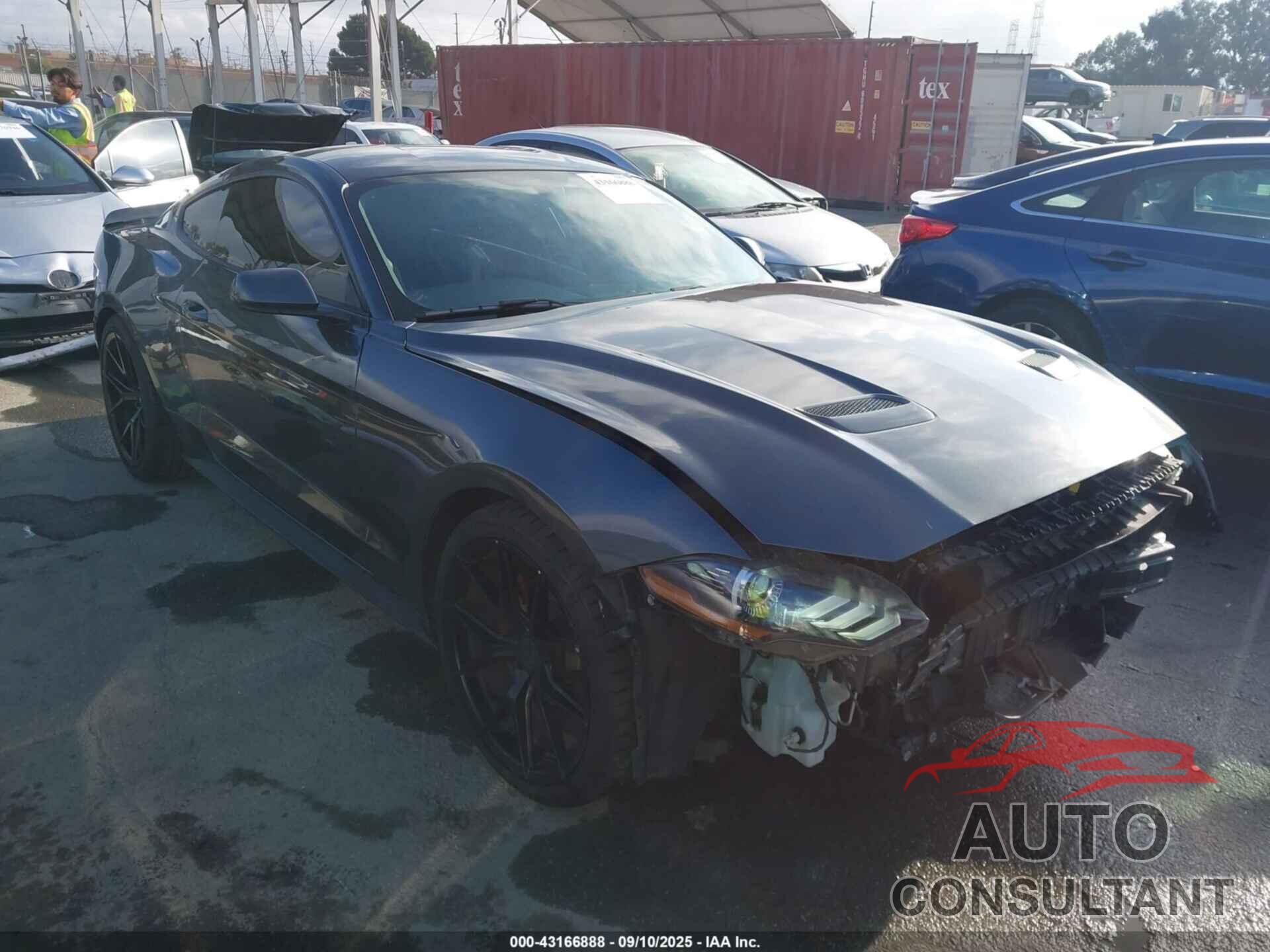 FORD MUSTANG 2019 - 1FA6P8TH4K5120899