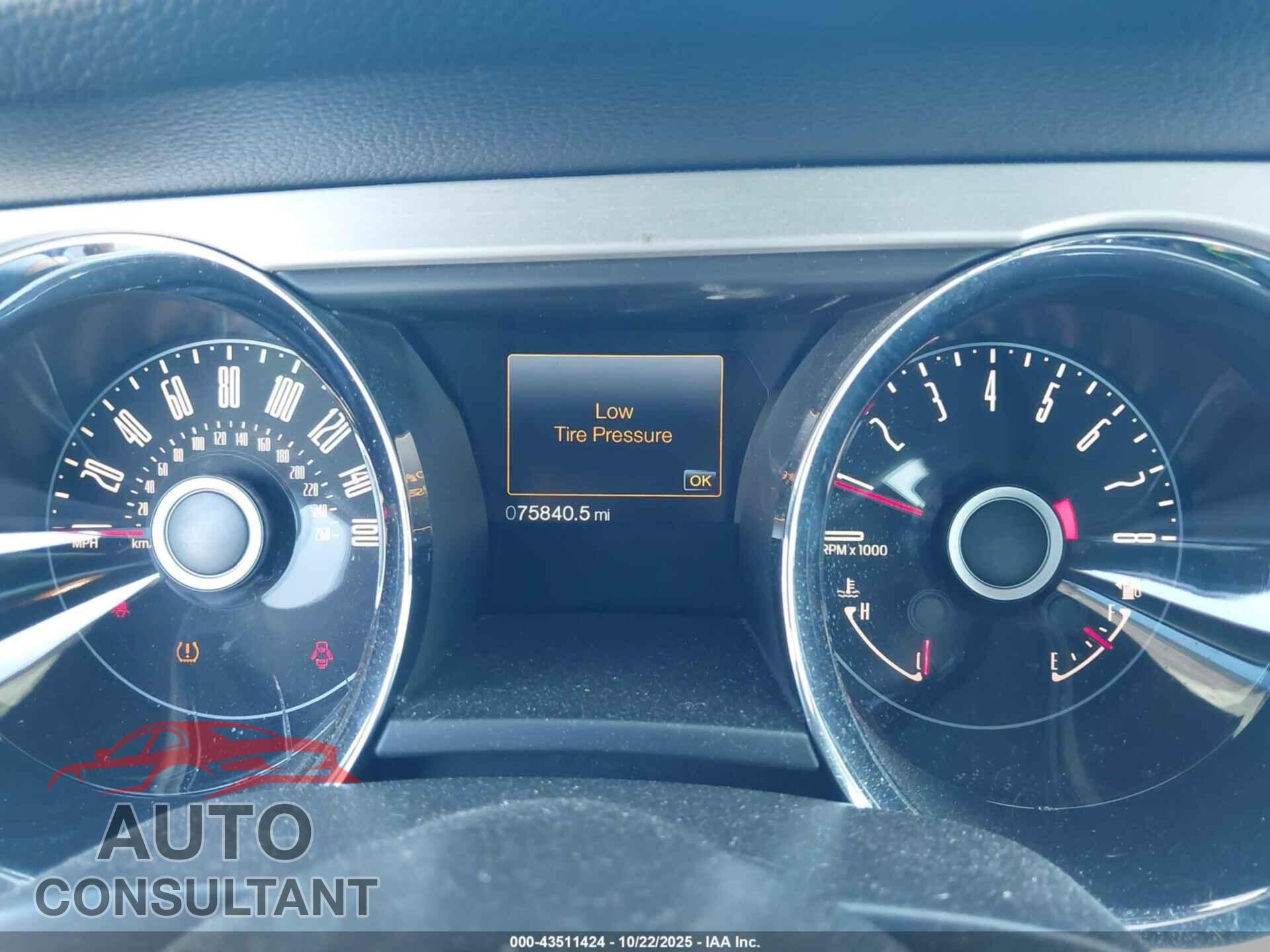 FORD MUSTANG 2014 - 1ZVBP8EM8E5249281