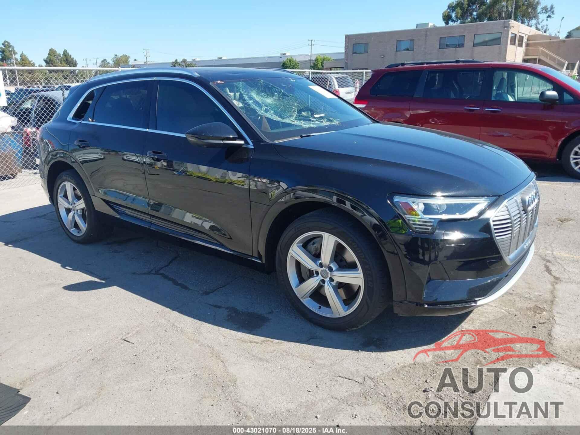 AUDI E-TRON 2019 - WA1LABGE4KB021247