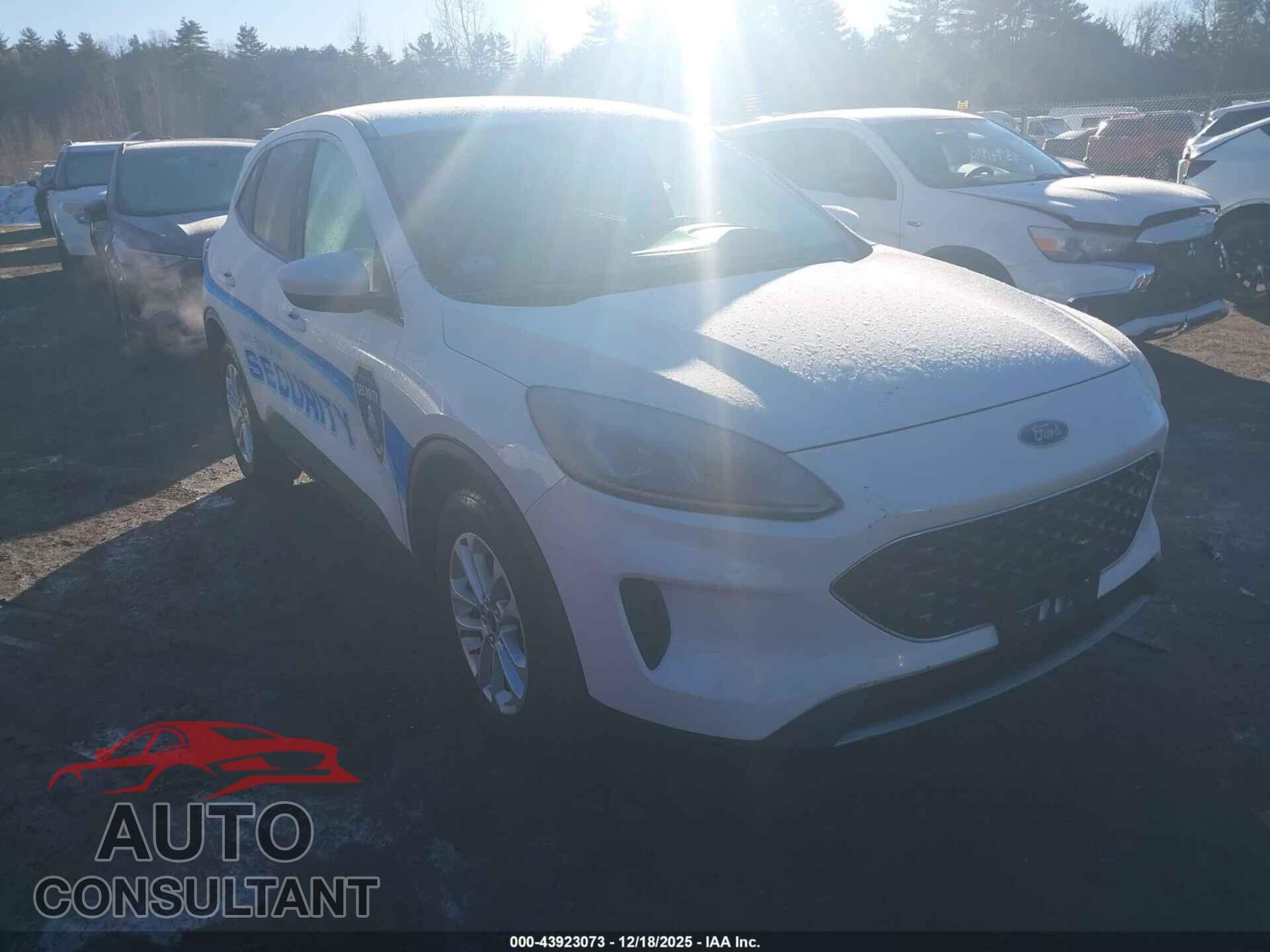 FORD ESCAPE 2020 - 1FMCU9G61LUA33663