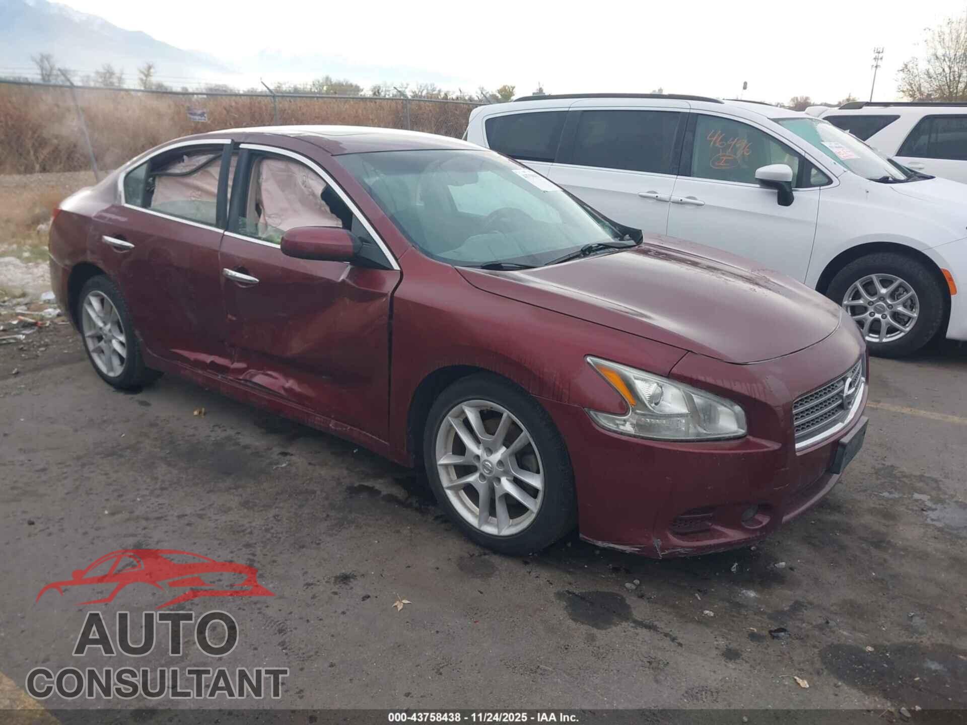 NISSAN MAXIMA 2010 - 1N4AA5AP1AC809264