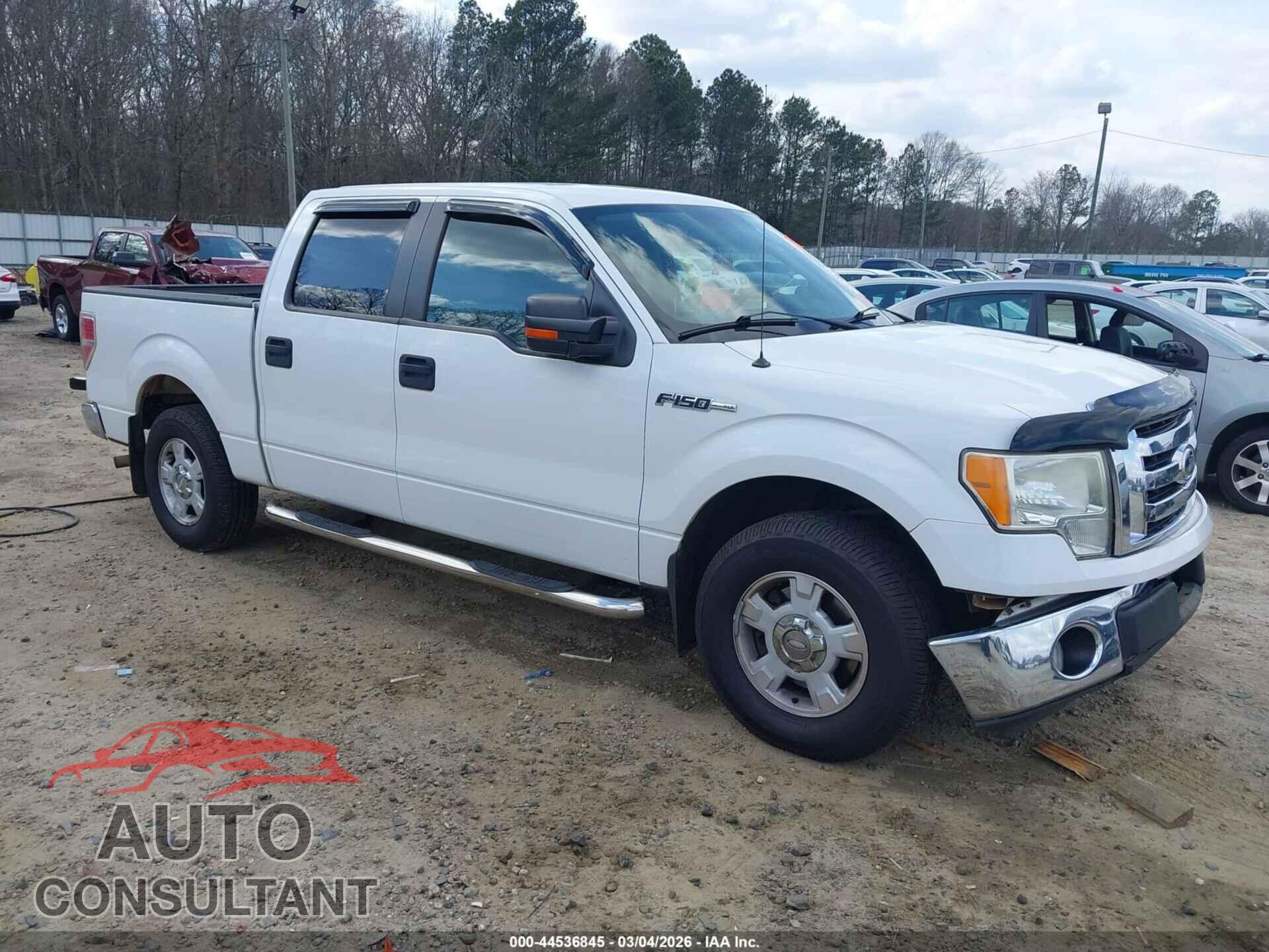 FORD F-150 2010 - 1FTEW1C8XAFD71659