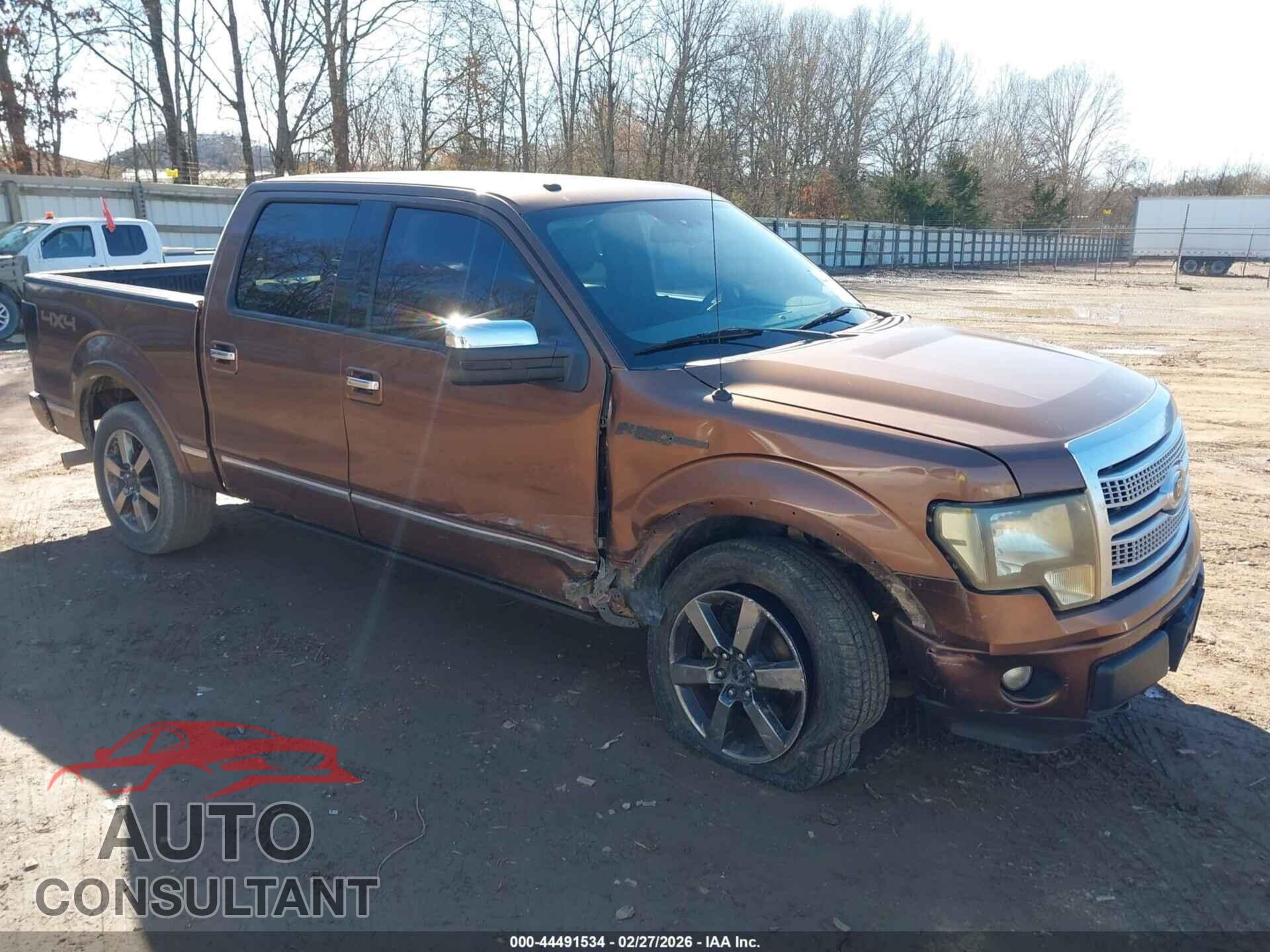 FORD F-150 2011 - 1FTFW1EF8BFA18743