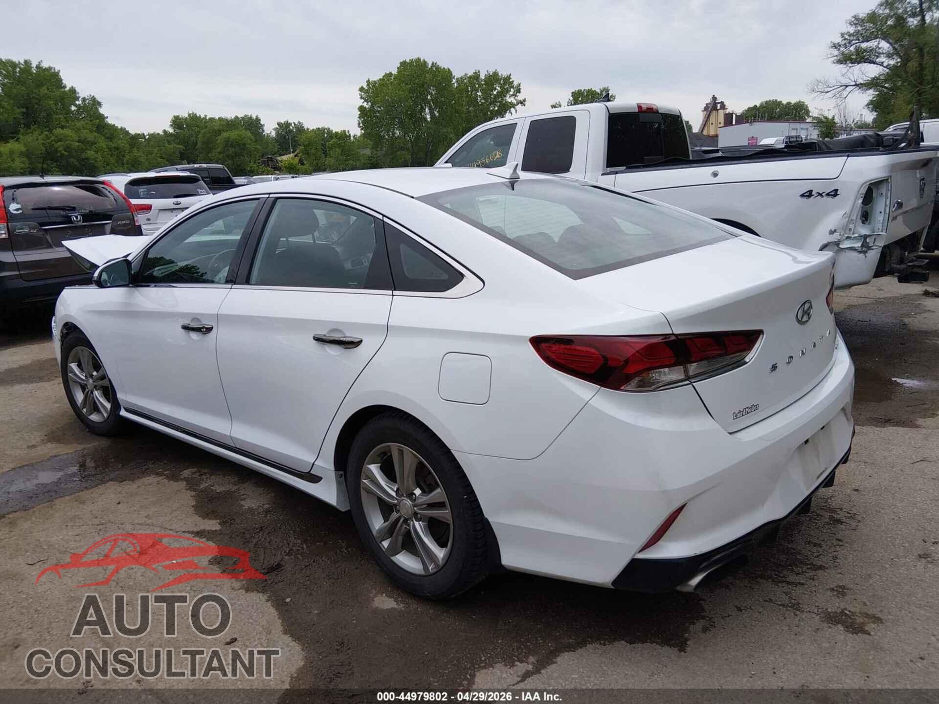 HYUNDAI SONATA 2019 - 5NPE34AF2KH791791