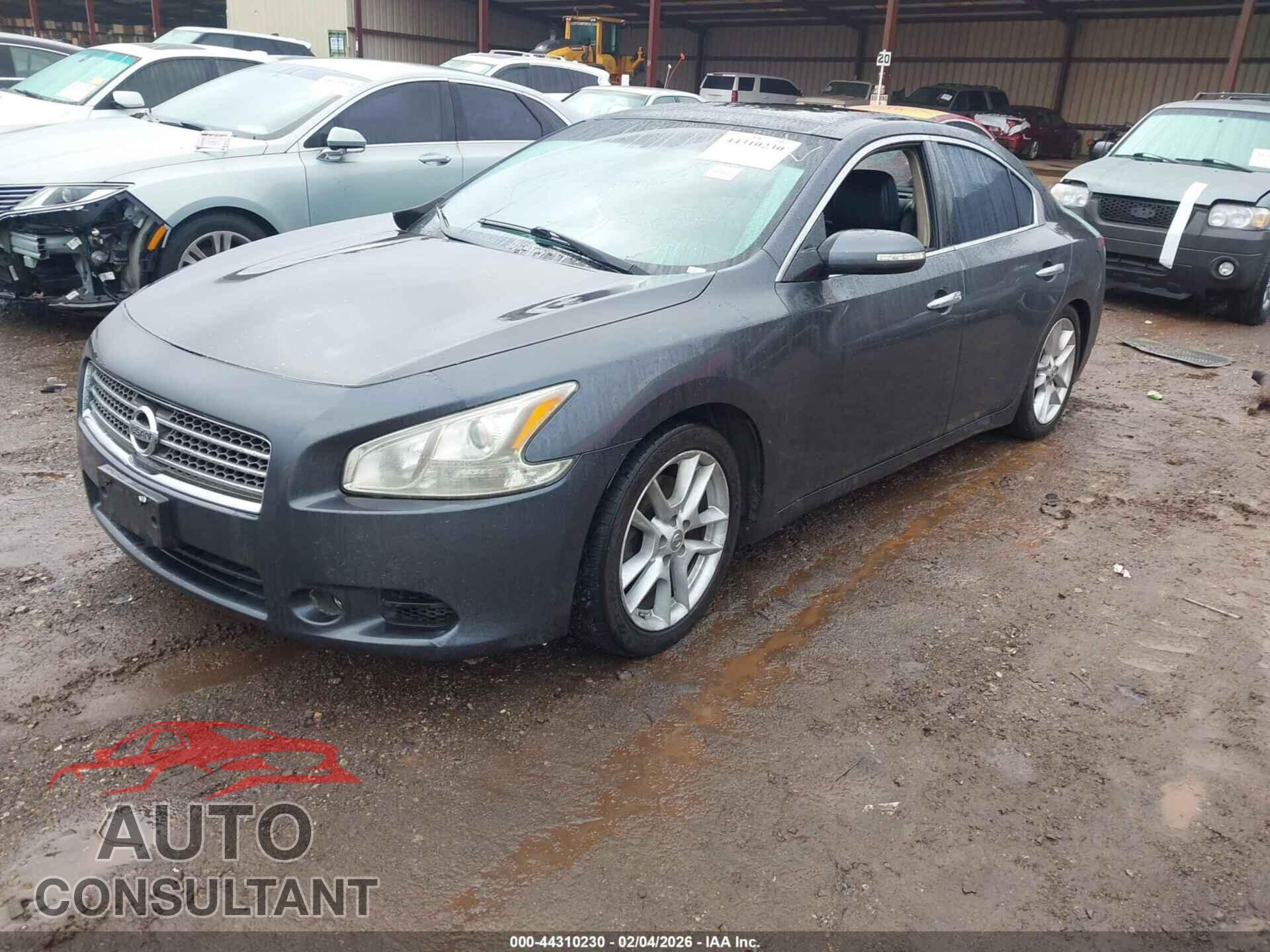NISSAN MAXIMA 2009 - 1N4AA51E09C856036