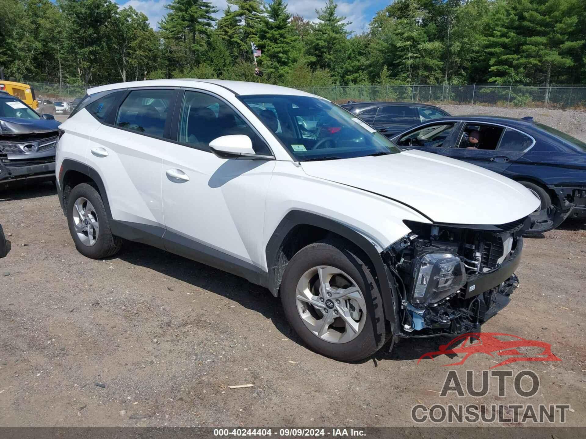 HYUNDAI TUCSON 2024 - 5NMJACDE2RH367665