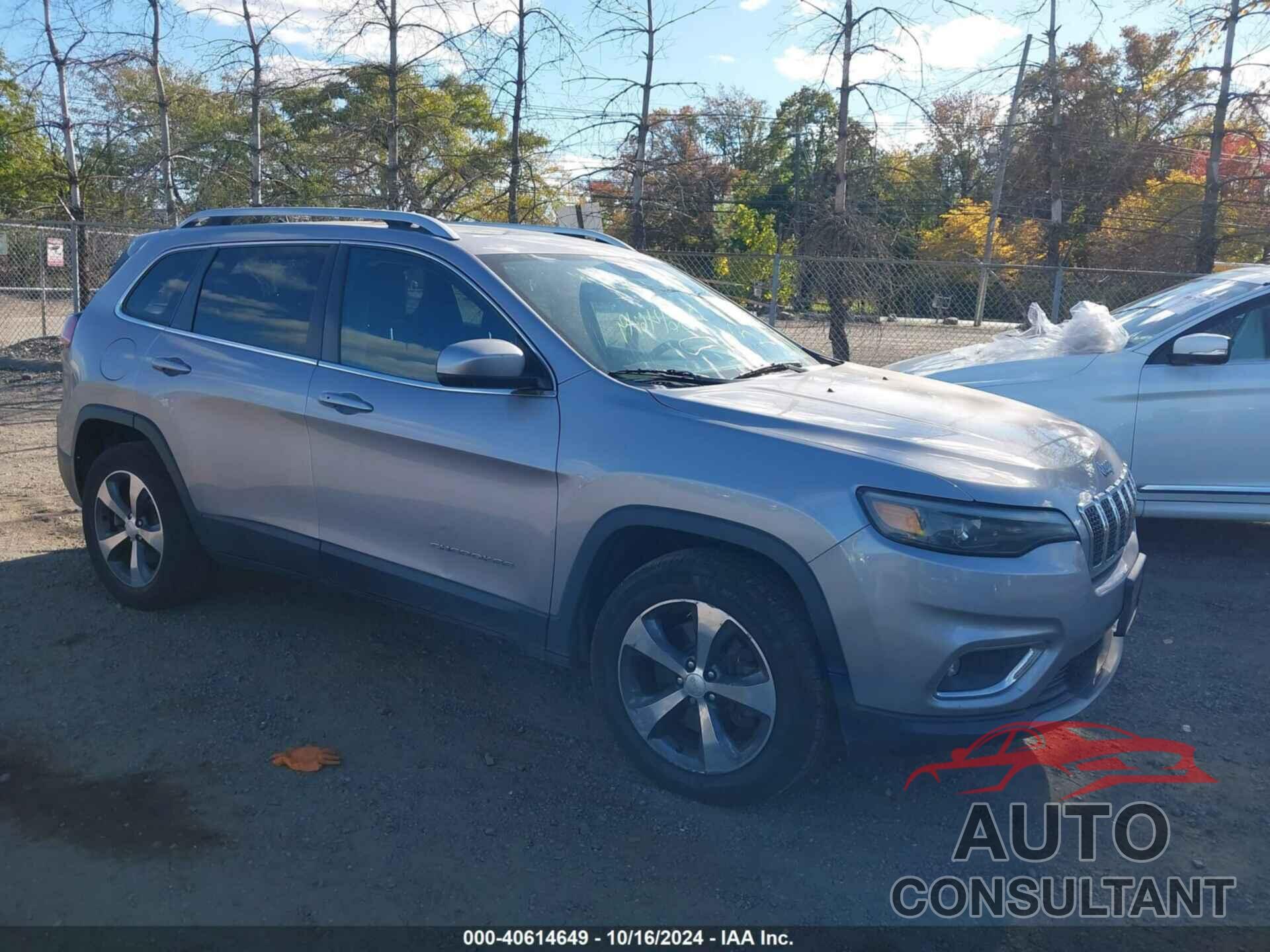 JEEP CHEROKEE 2019 - 1C4PJMDX1KD342949