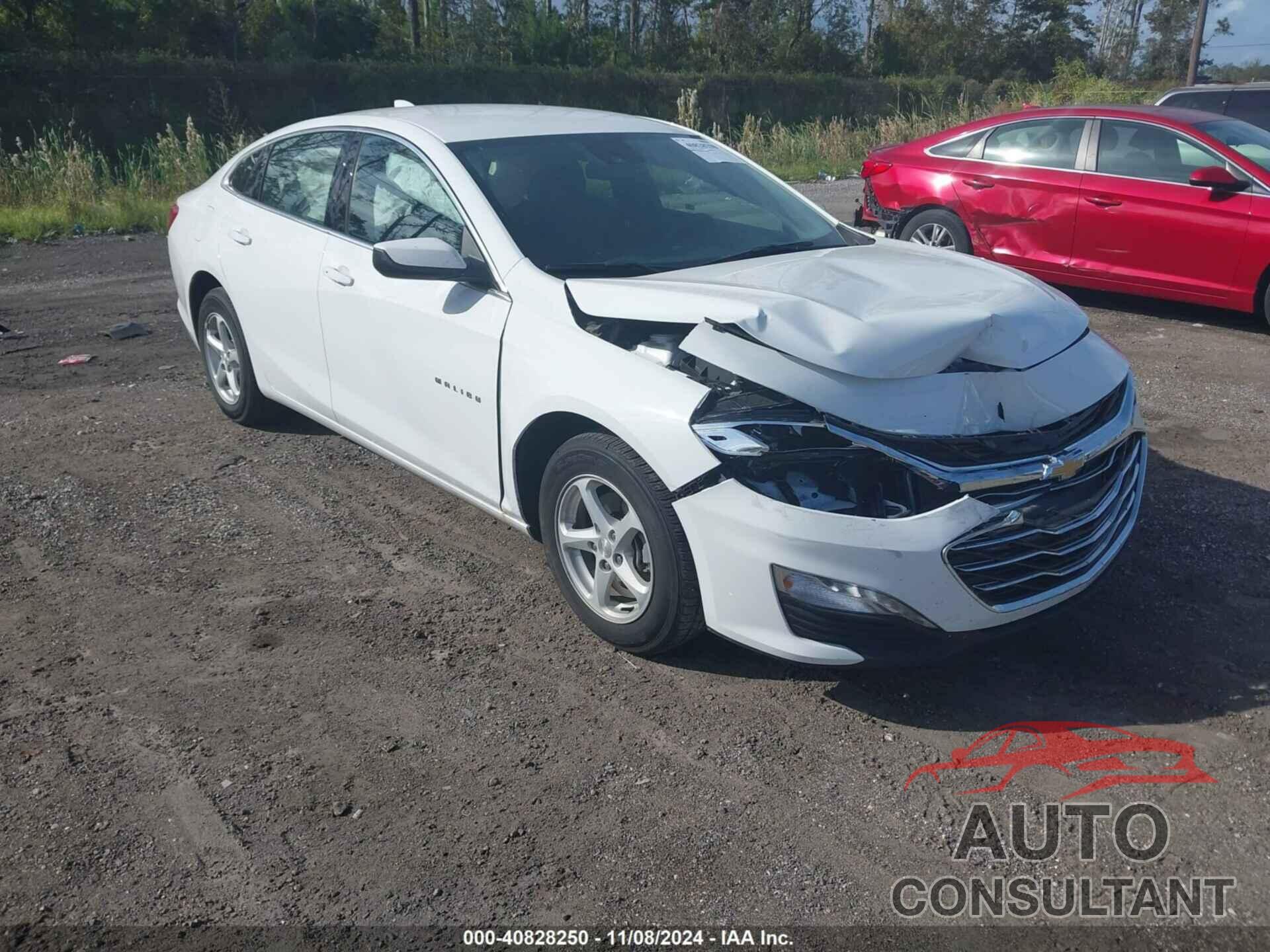 CHEVROLET MALIBU 2024 - 1G1ZE5ST4RF162469