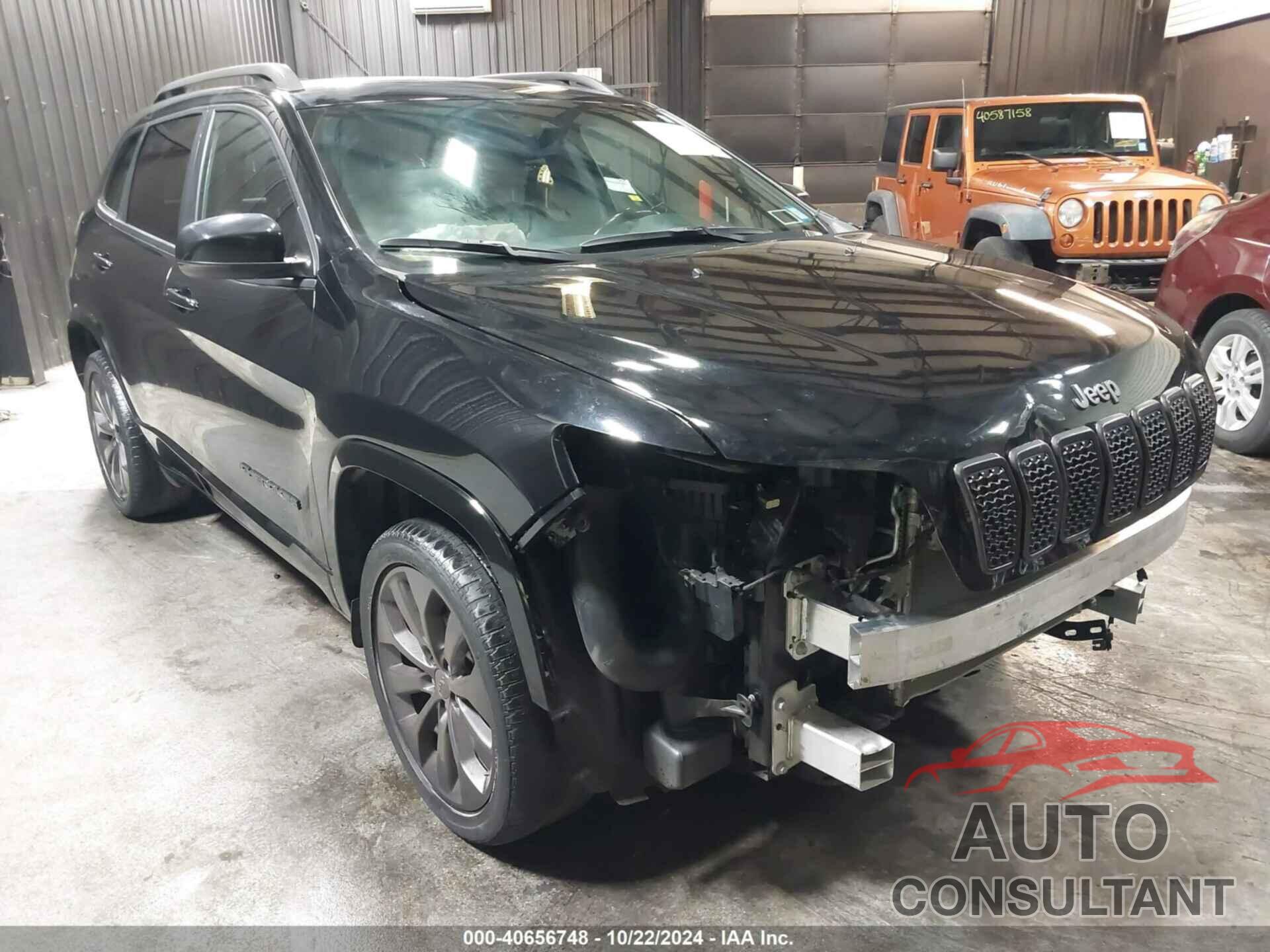 JEEP CHEROKEE 2019 - 1C4PJMDX0KD459194