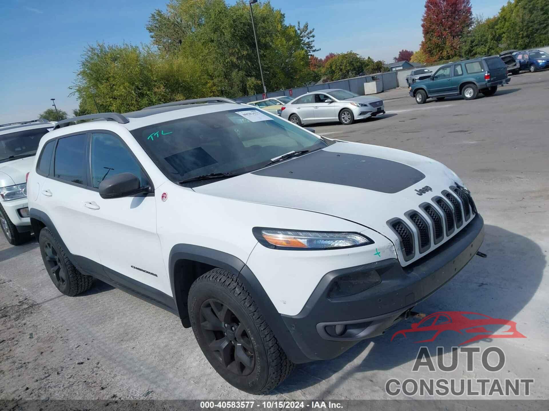 JEEP CHEROKEE 2016 - 1C4PJMBS6GW306001