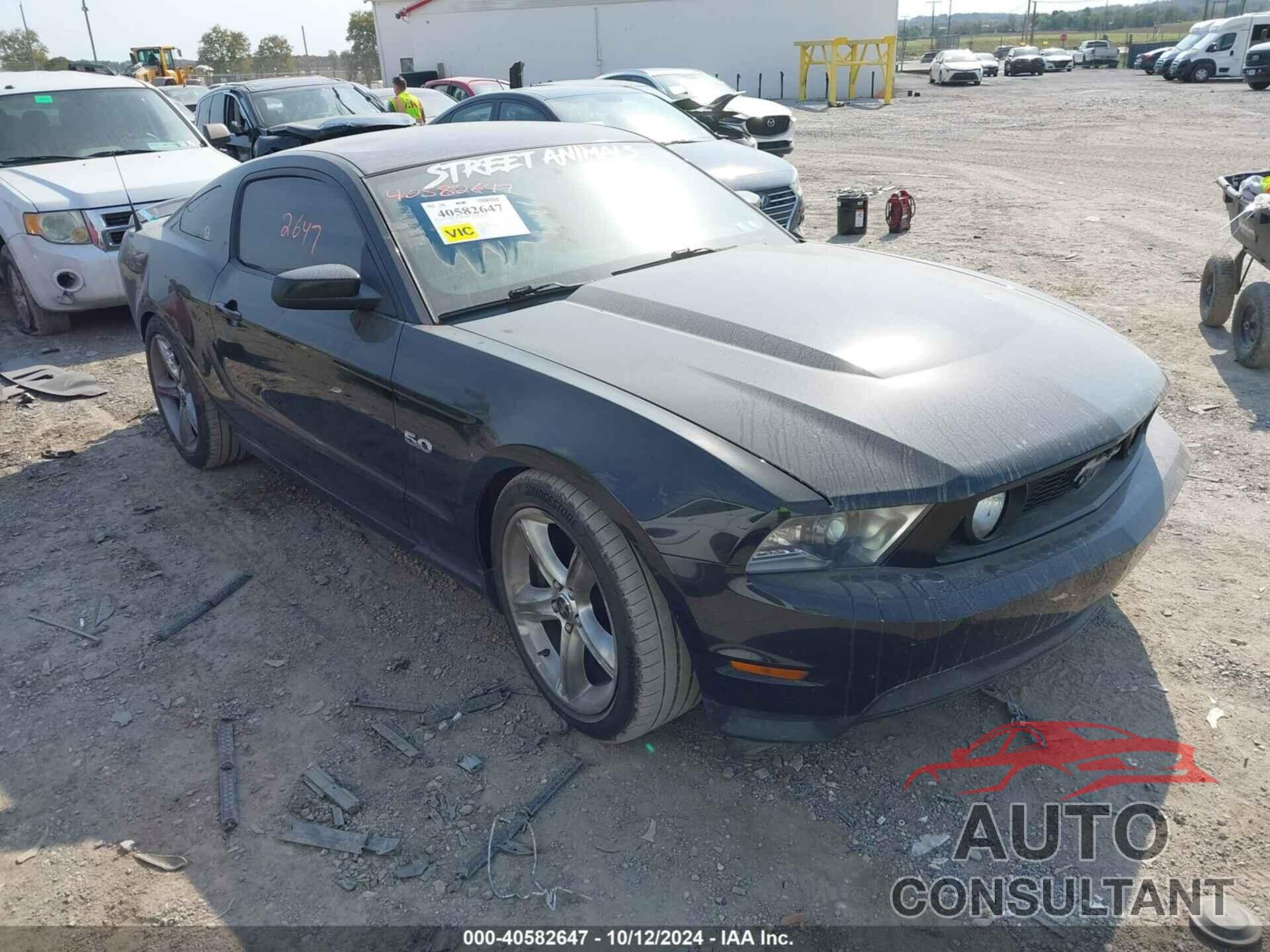 FORD MUSTANG 2011 - 1ZVBP8CF4B5168018