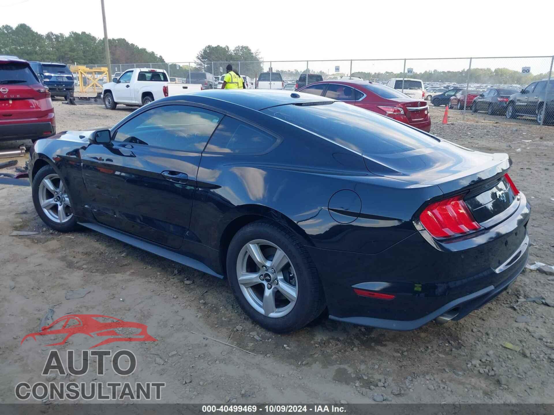FORD MUSTANG 2019 - 1FA6P8TH3K5199529