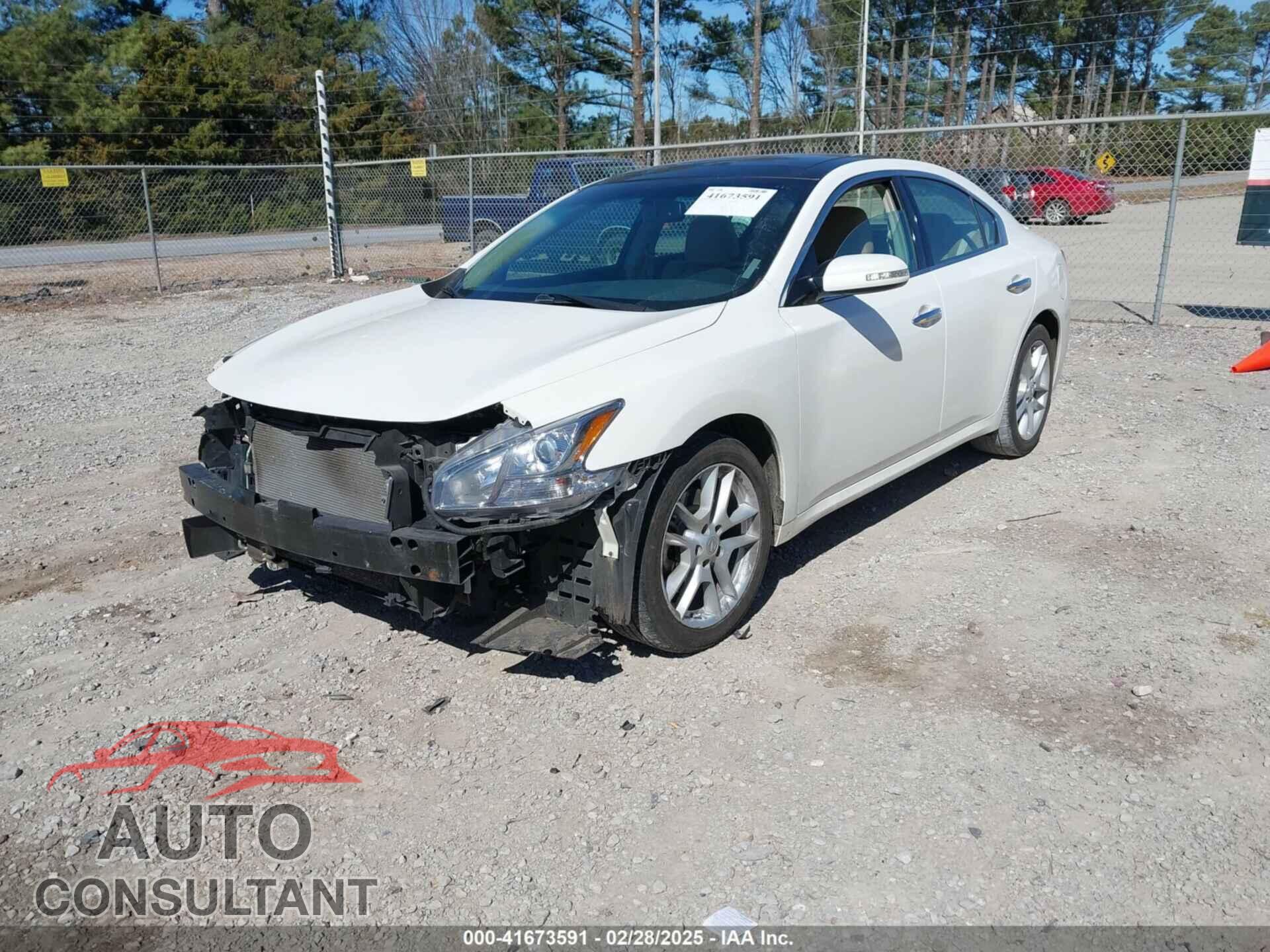 NISSAN MAXIMA 2009 - 1N4AA51E79C853473