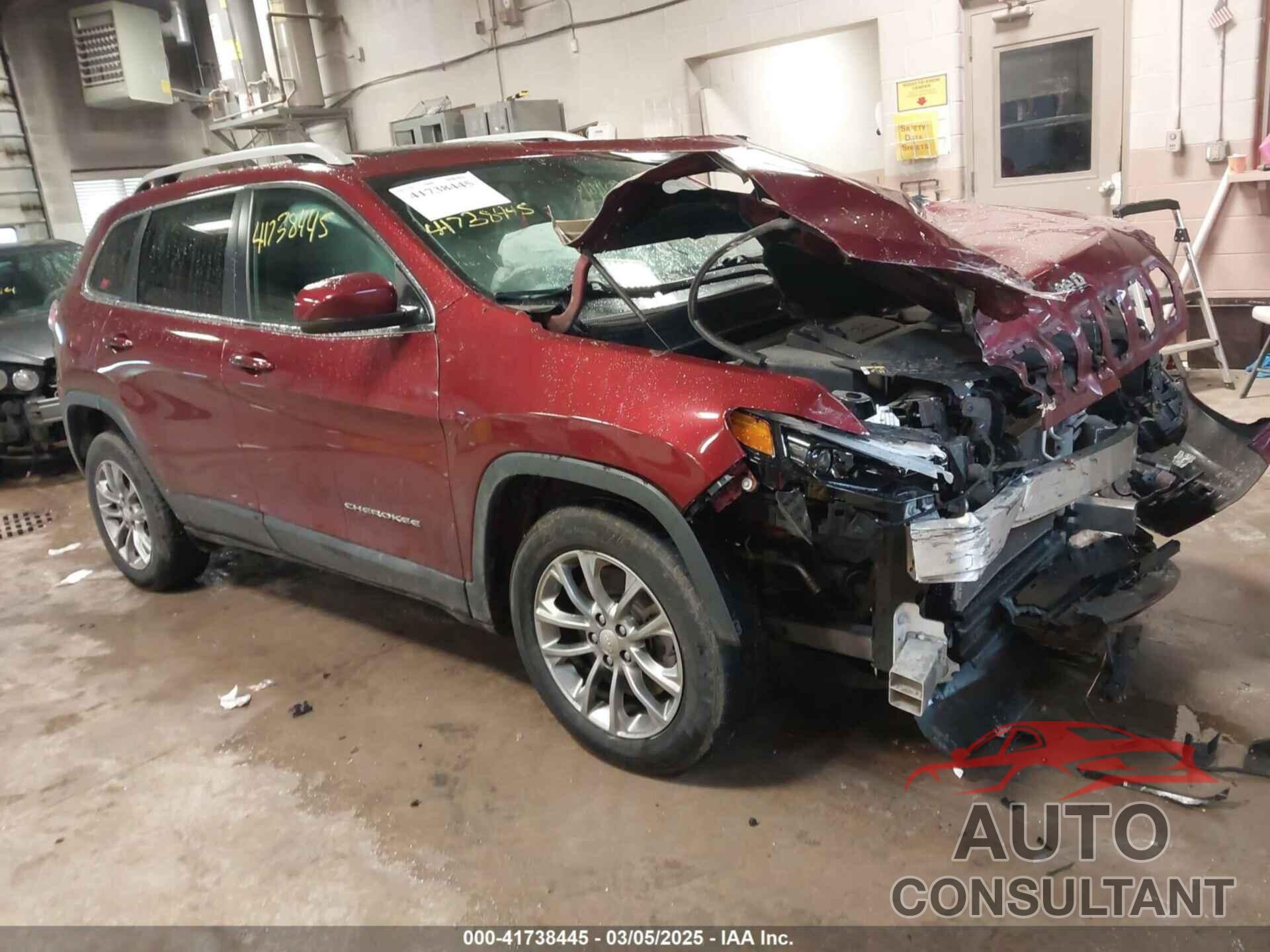 JEEP CHEROKEE 2019 - 1C4PJLLB4KD359065