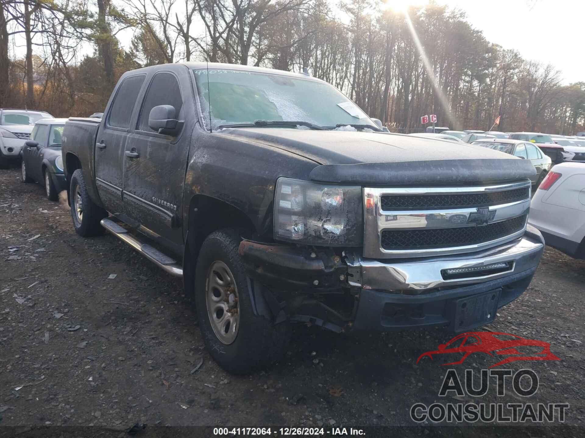 CHEVROLET SILVERADO 1500 2010 - 3GCRKREA9AG151200