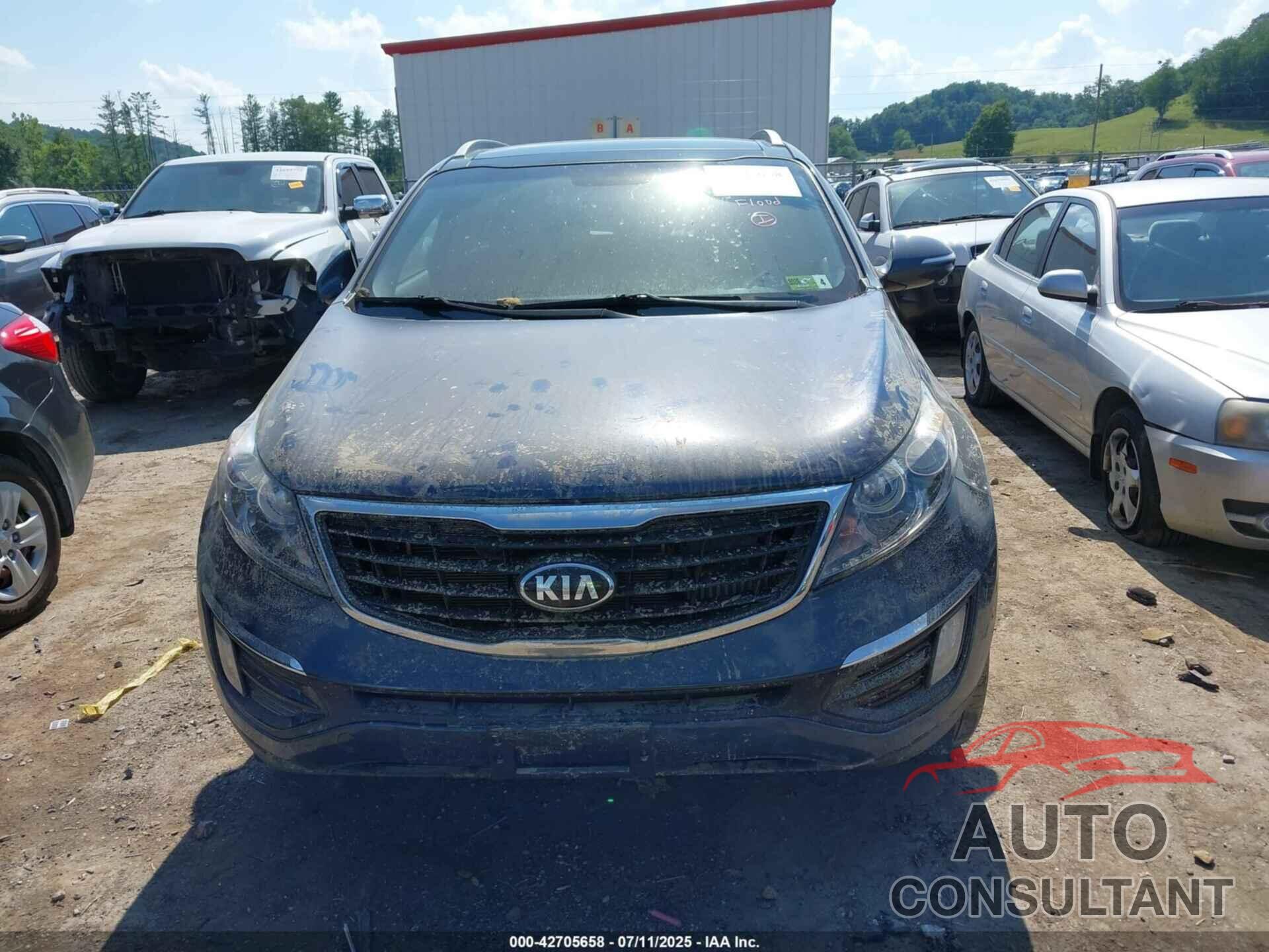 KIA SPORTAGE 2016 - KNDPCCA6XG7815656