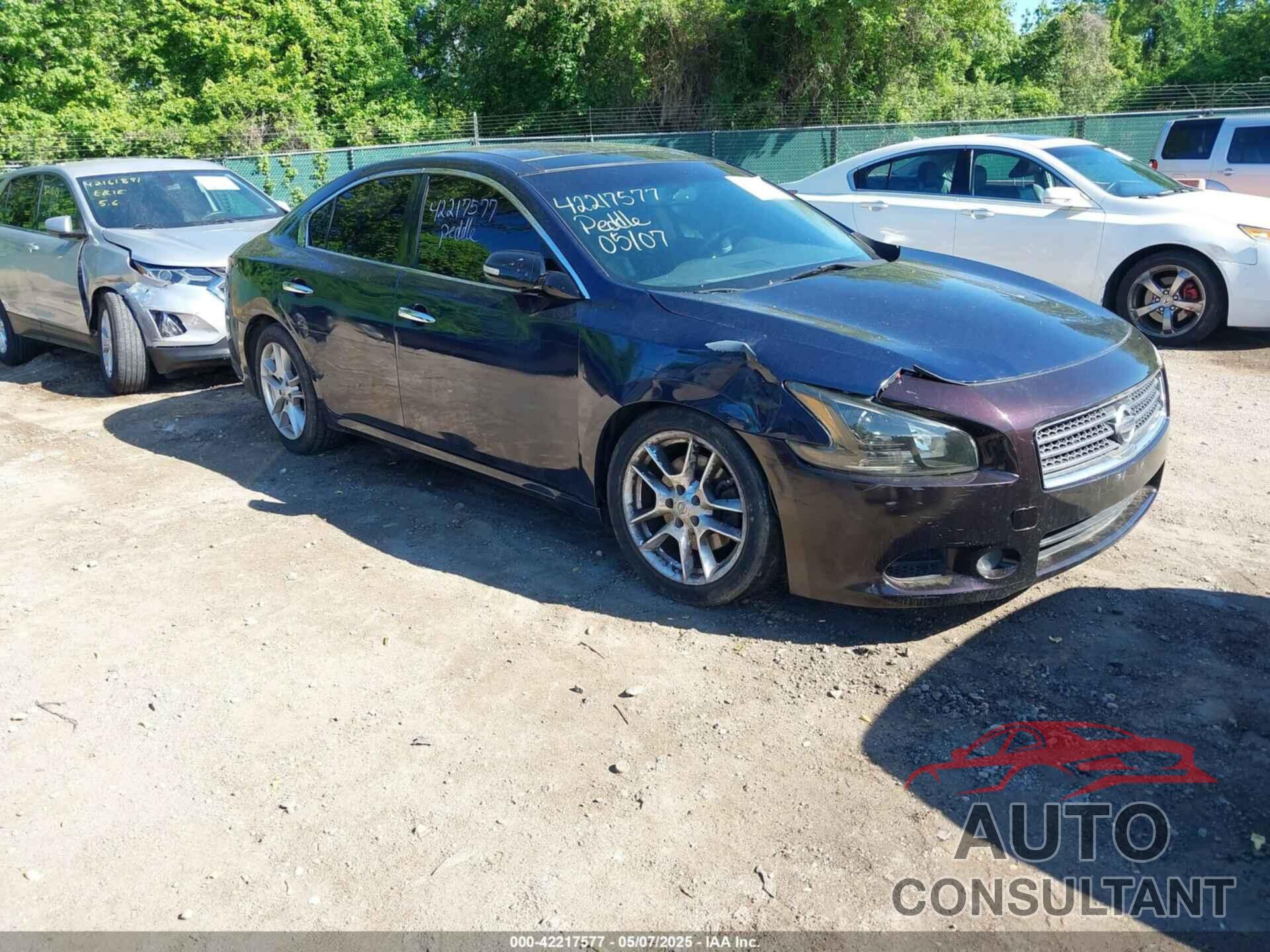 NISSAN MAXIMA 2010 - 1N4AA5AP6AC818249