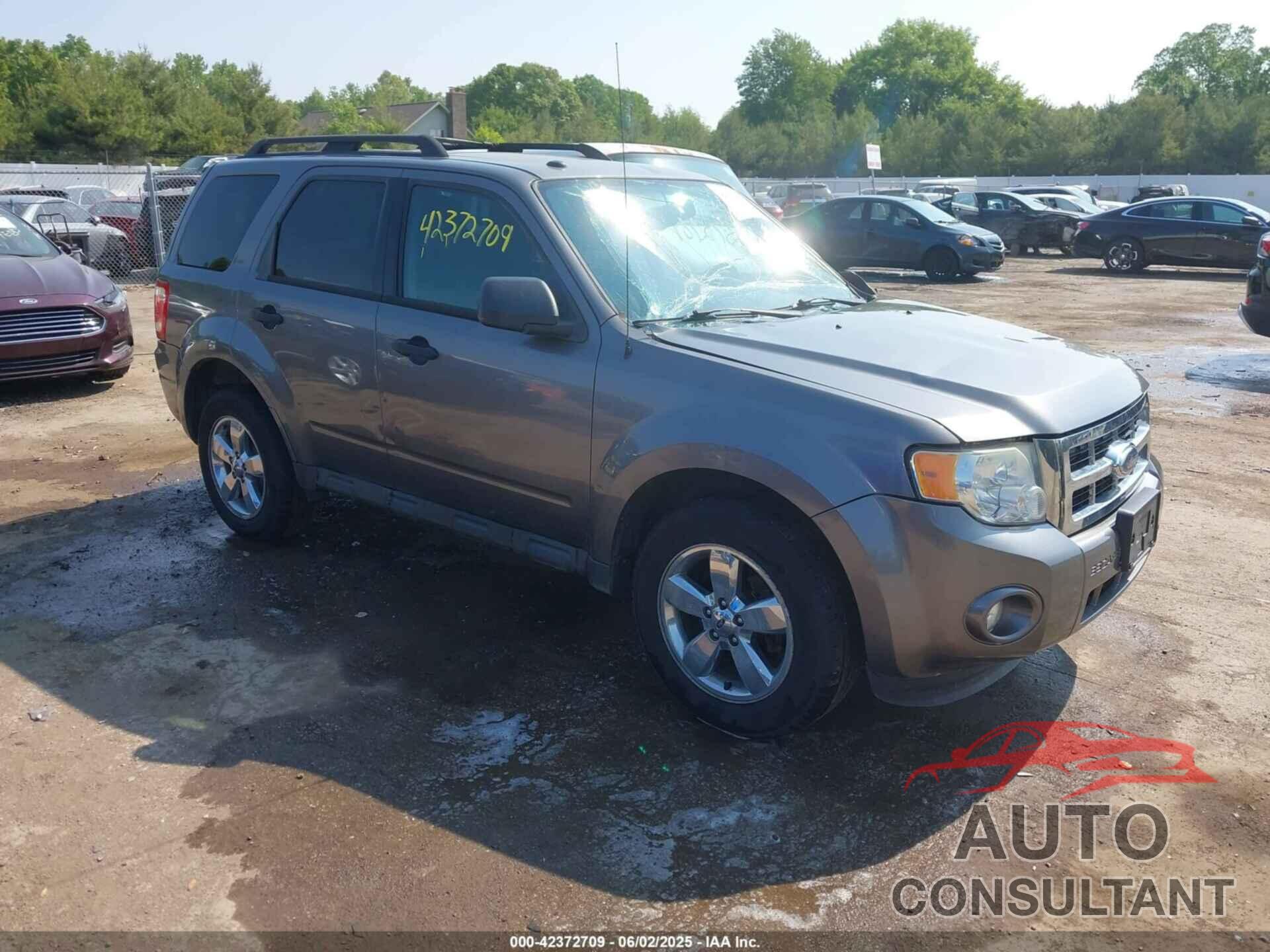 FORD ESCAPE 2010 - 1FMCU9DG1AKC62463