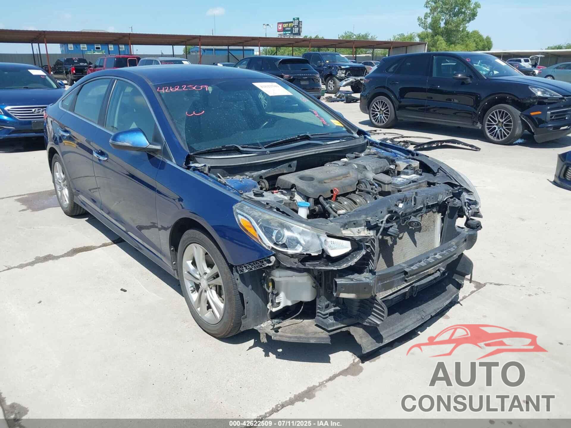 HYUNDAI SONATA 2019 - 5NPE34AF9KH788886