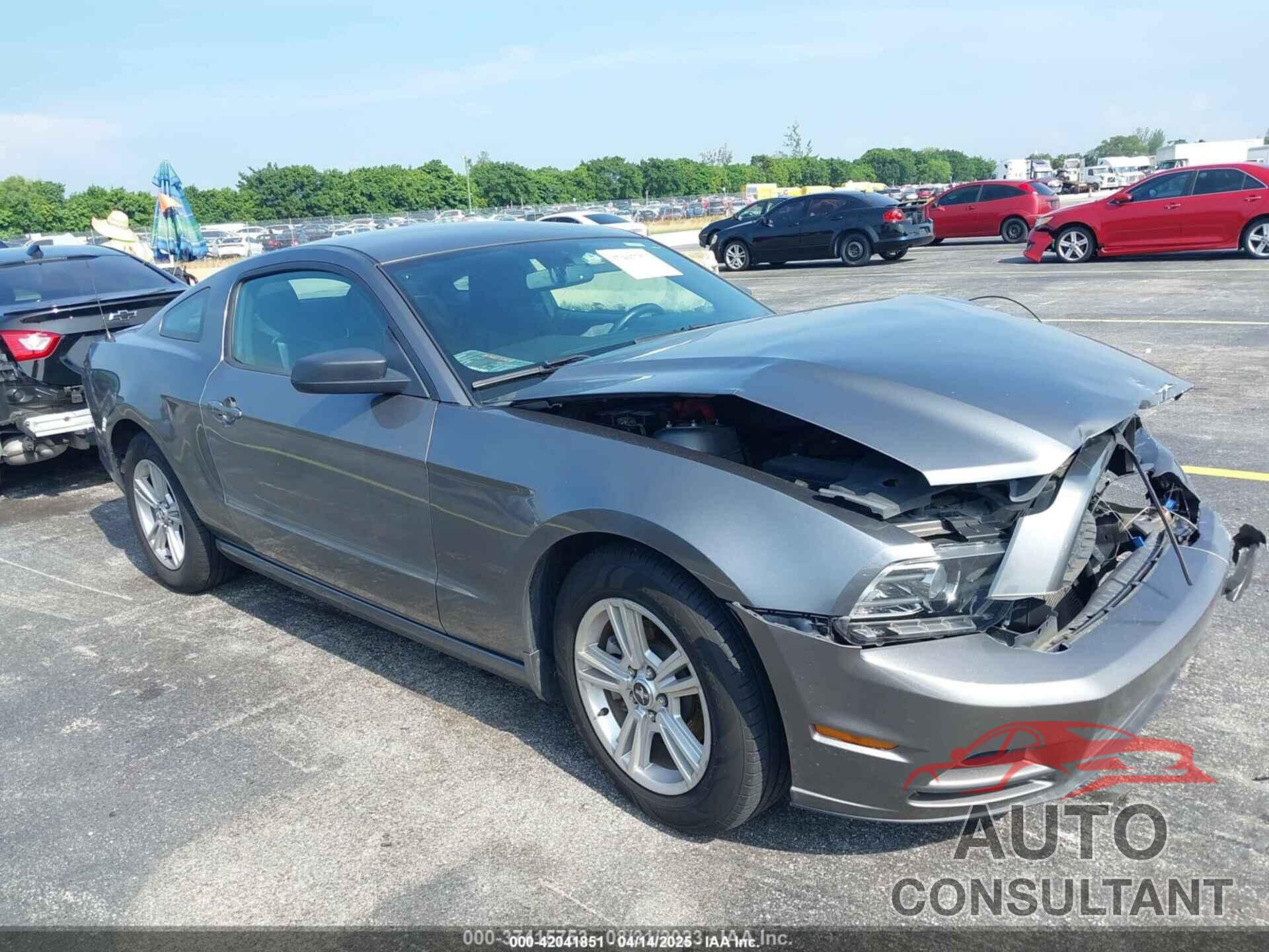 FORD MUSTANG 2013 - 1ZVBP8AMXD5273893