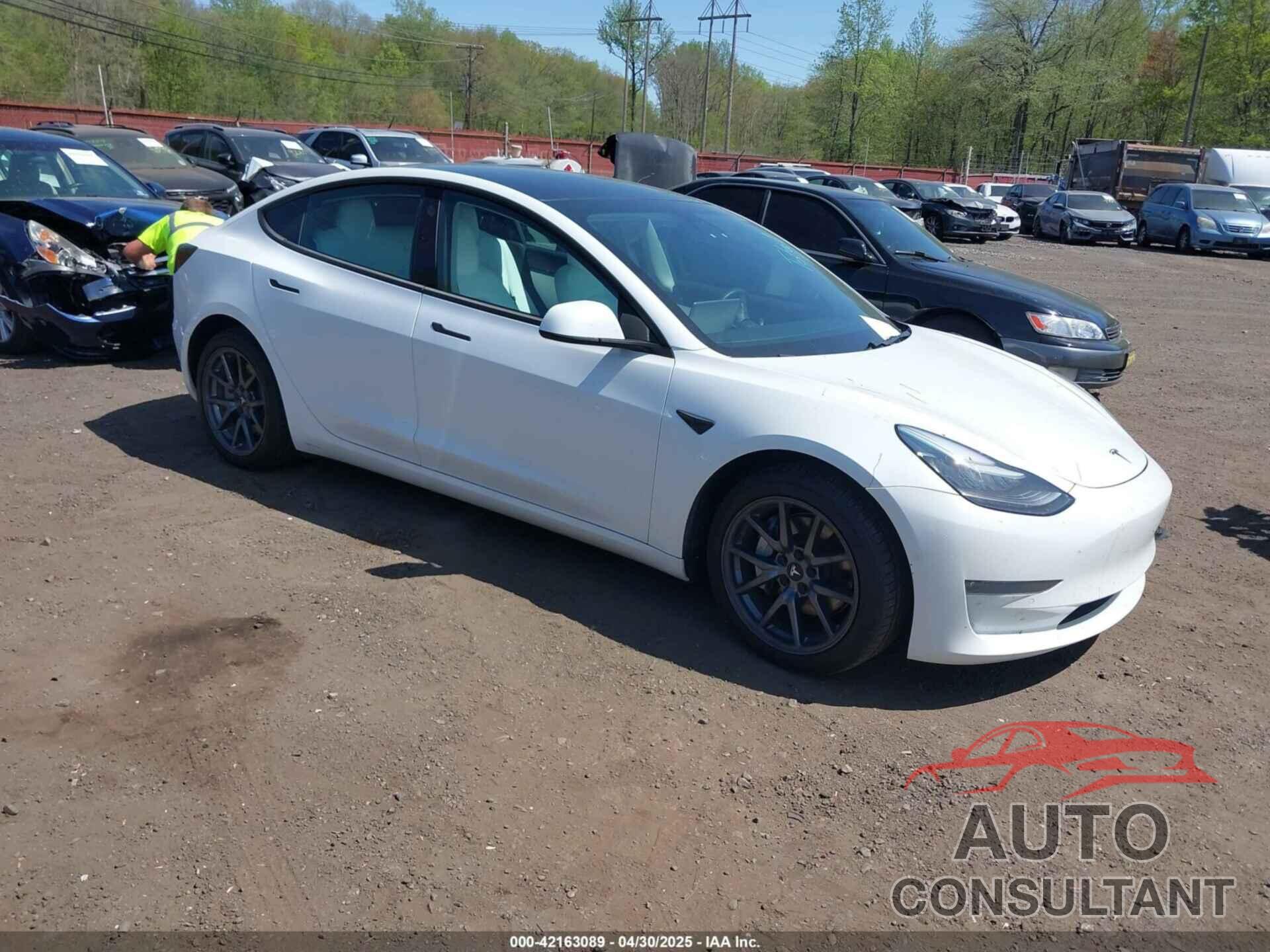 TESLA MODEL 3 2019 - 5YJ3E1EB3KF450602