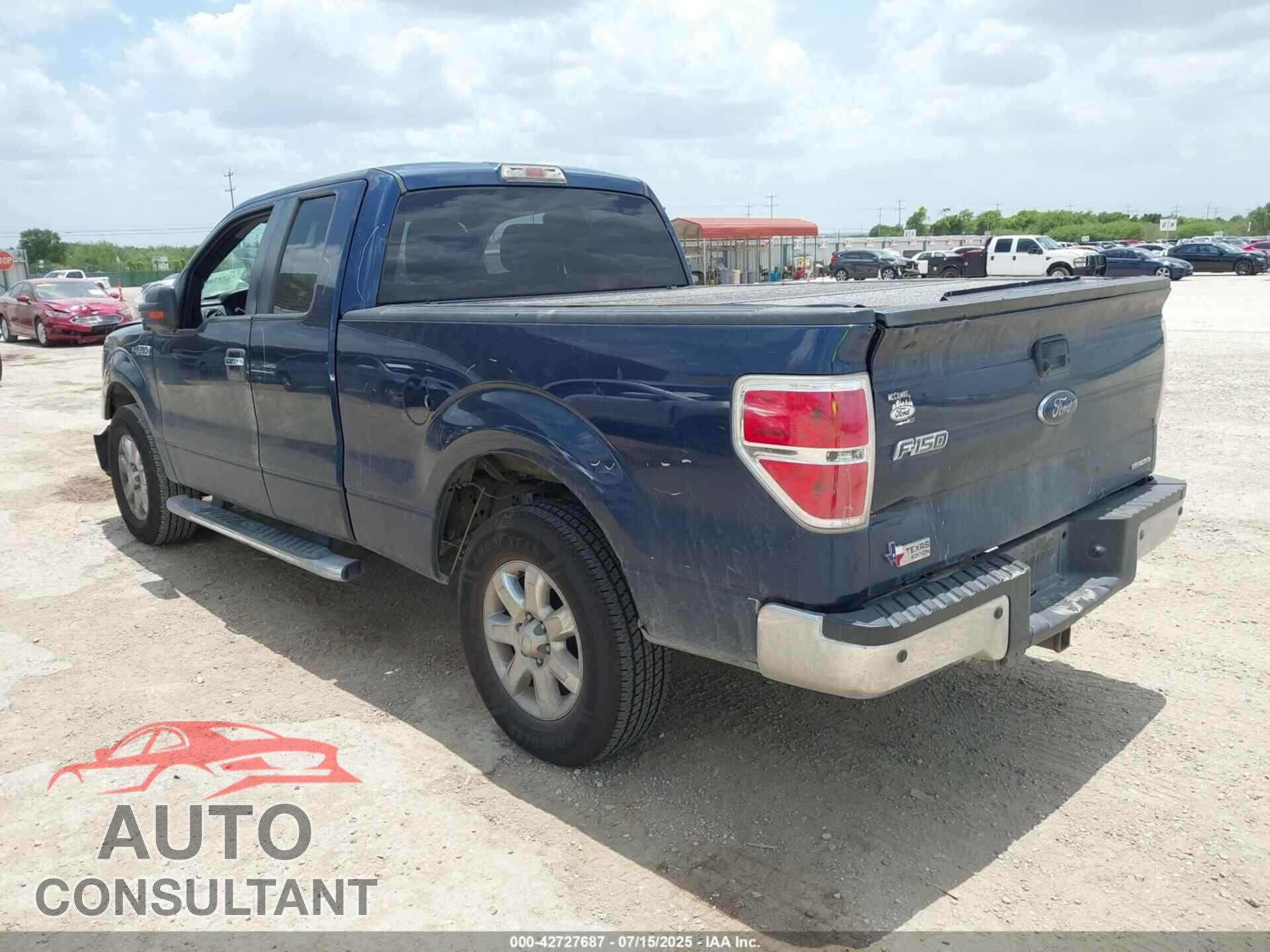 FORD F-150 2013 - 1FTFX1CFXDFA66960