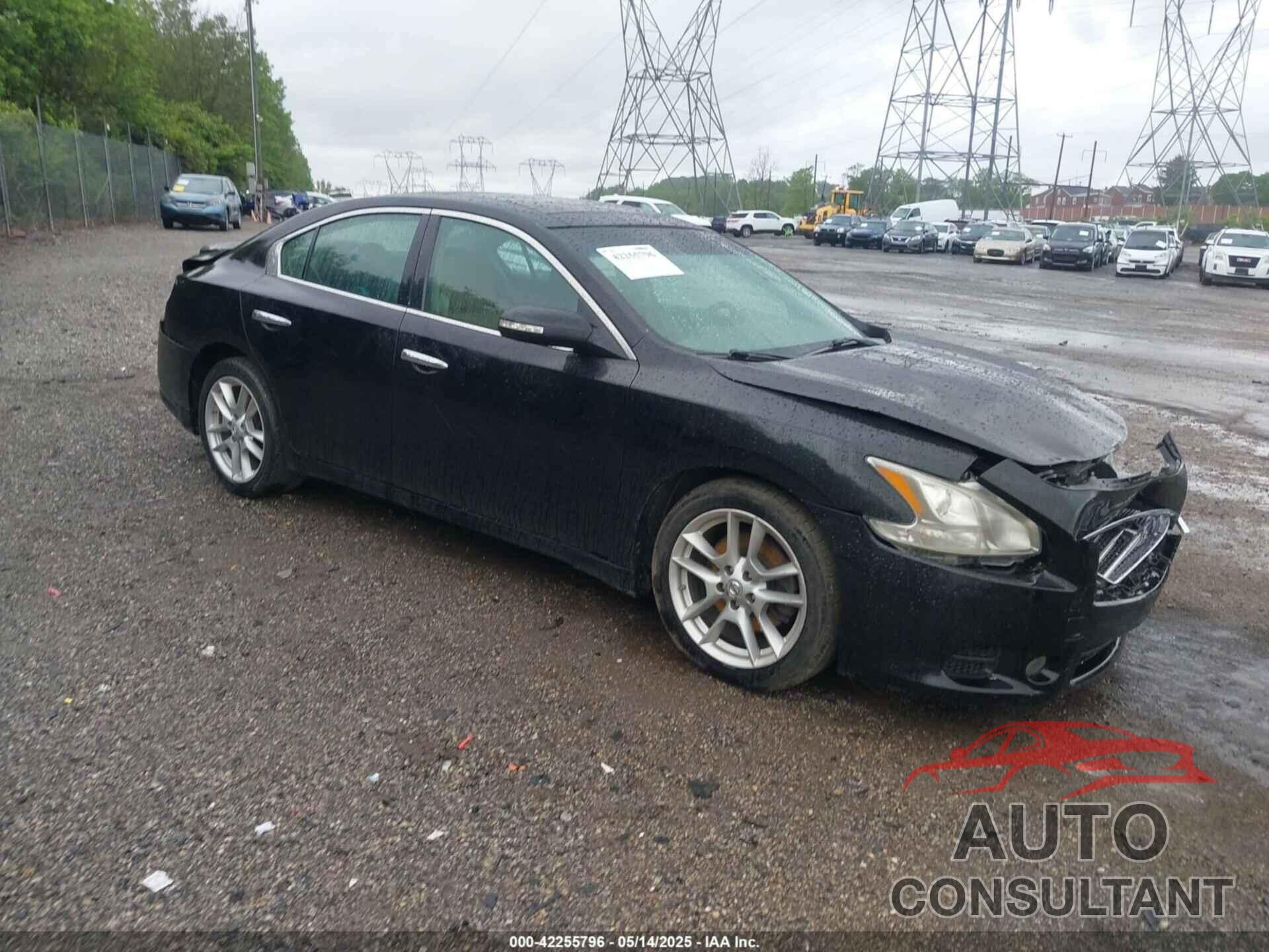NISSAN MAXIMA 2011 - 1N4AA5AP1BC828592
