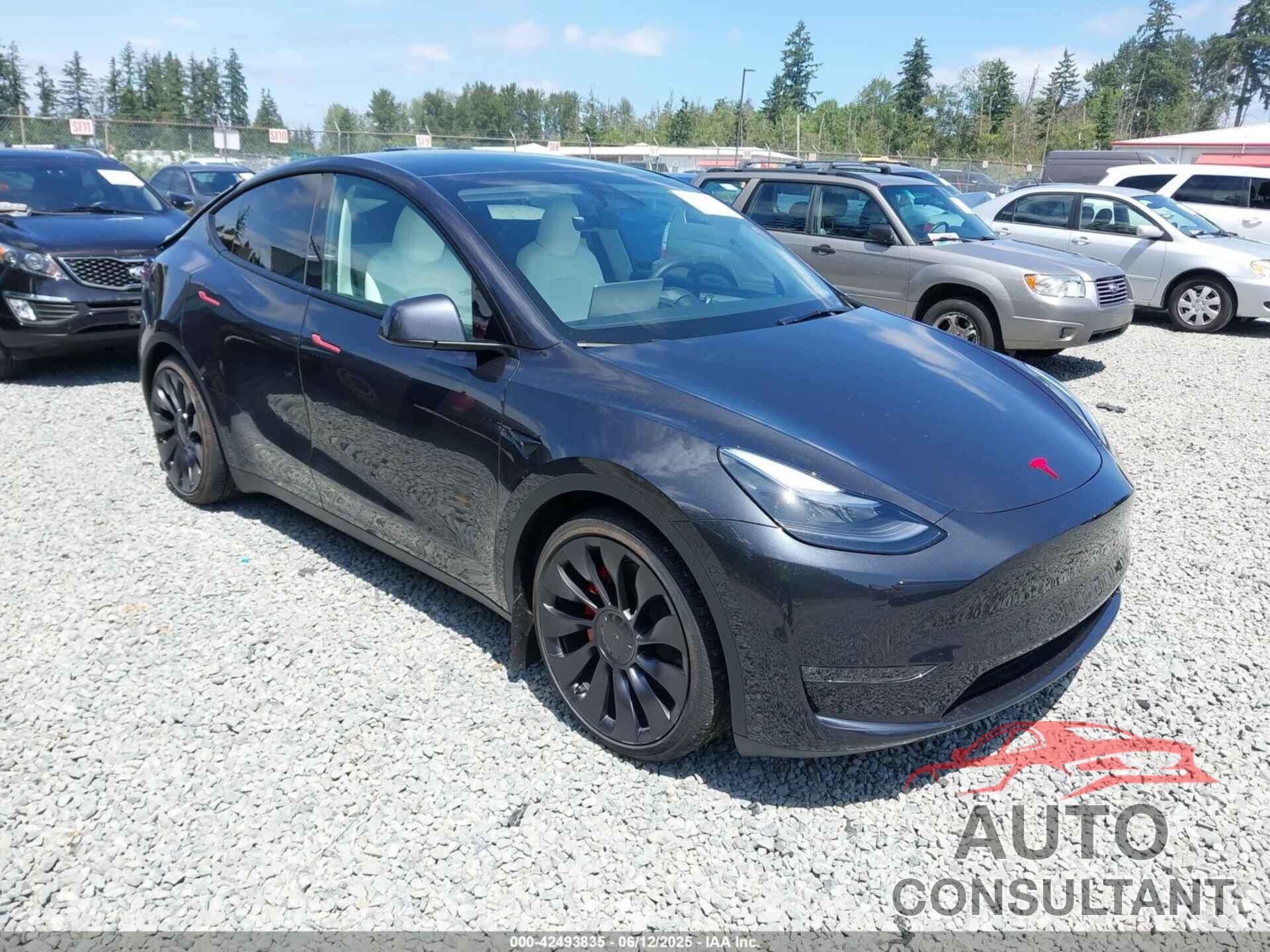 TESLA MODEL Y 2025 - 7SAYGDEF3SF254196