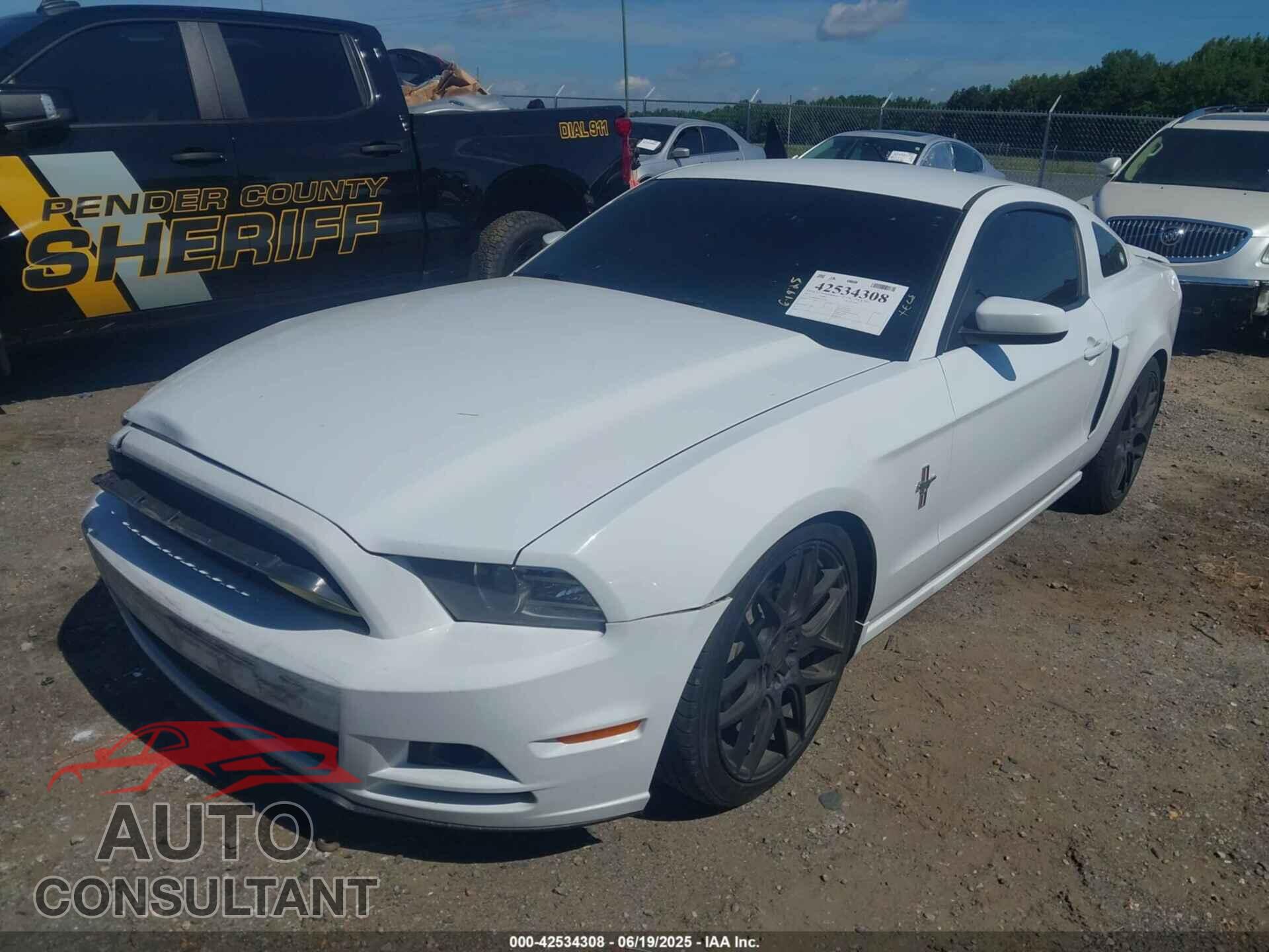 FORD MUSTANG 2014 - 1ZVBP8AM4E5282462