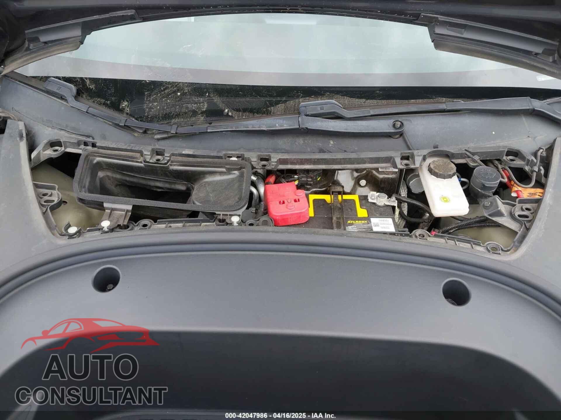TESLA MODEL 3 2021 - 5YJ3E1EA1MF068787
