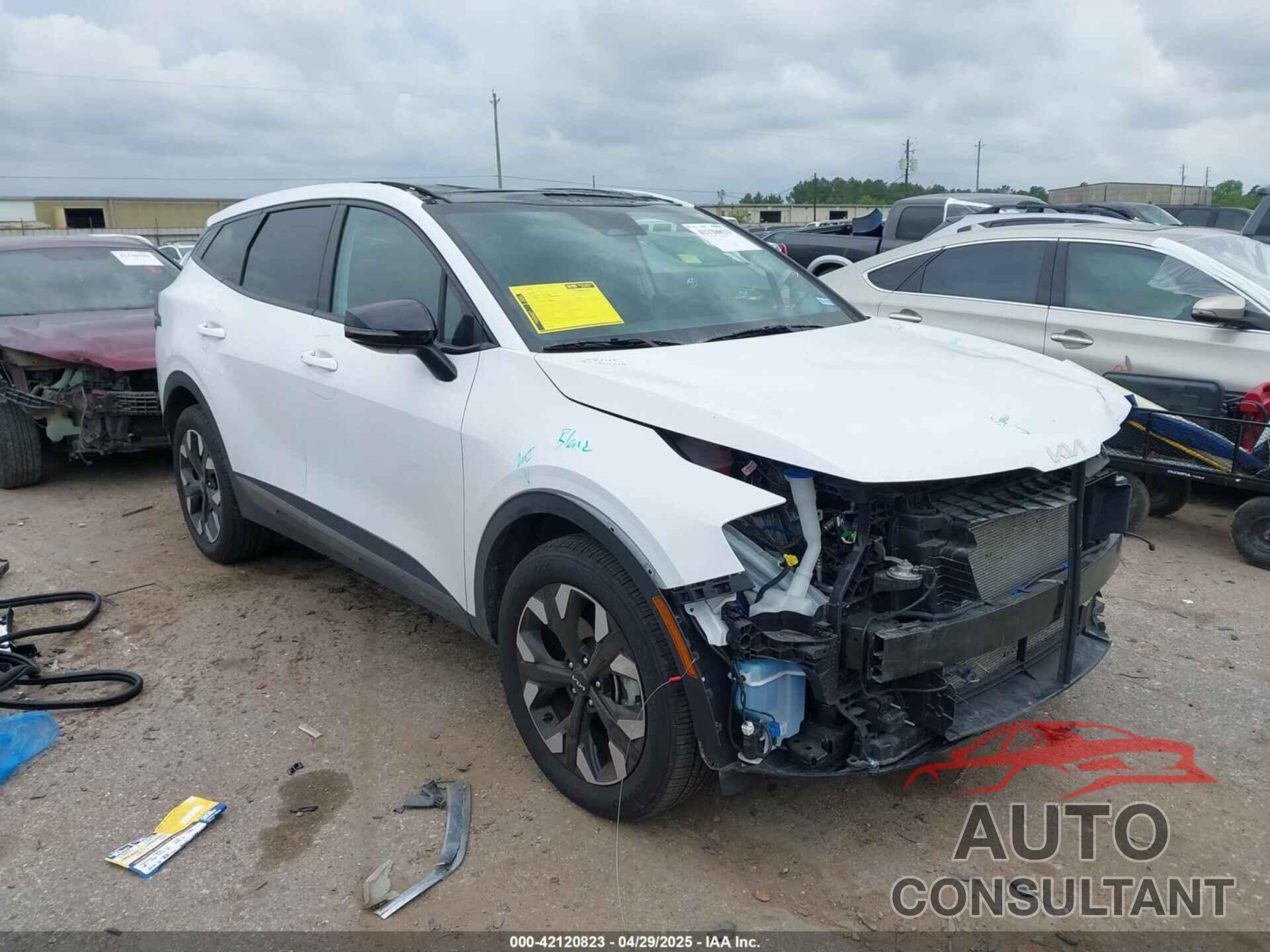KIA SPORTAGE 2024 - 5XYK6CDF0RG229132