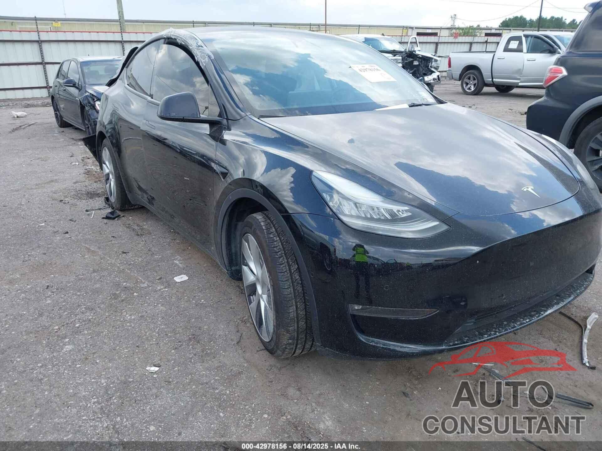 TESLA MODEL Y 2021 - 5YJYGDEE2MF200296