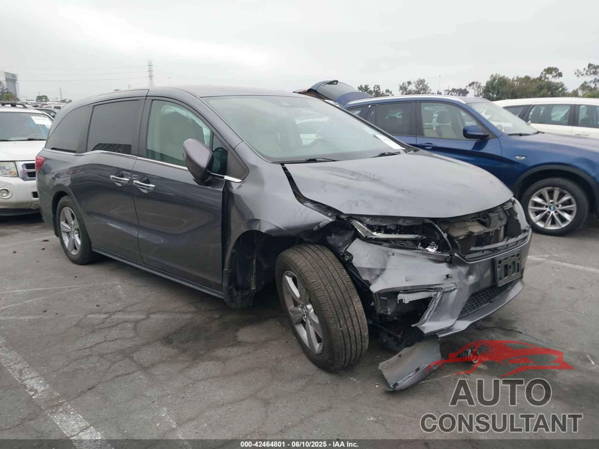 HONDA ODYSSEY 2019 - 5FNRL6H73KB110113