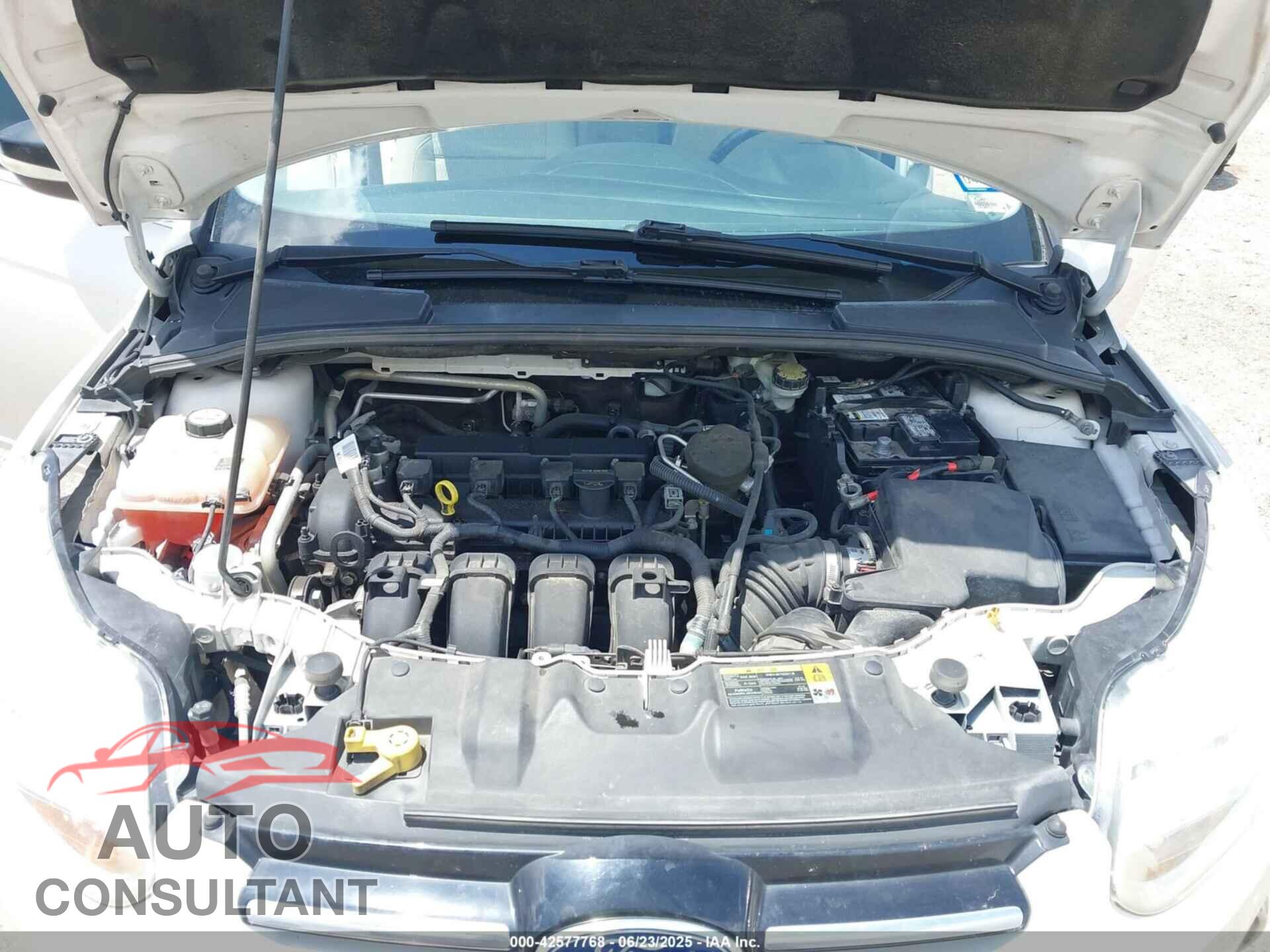 FORD FOCUS 2012 - 1FAHP3H24CL361990