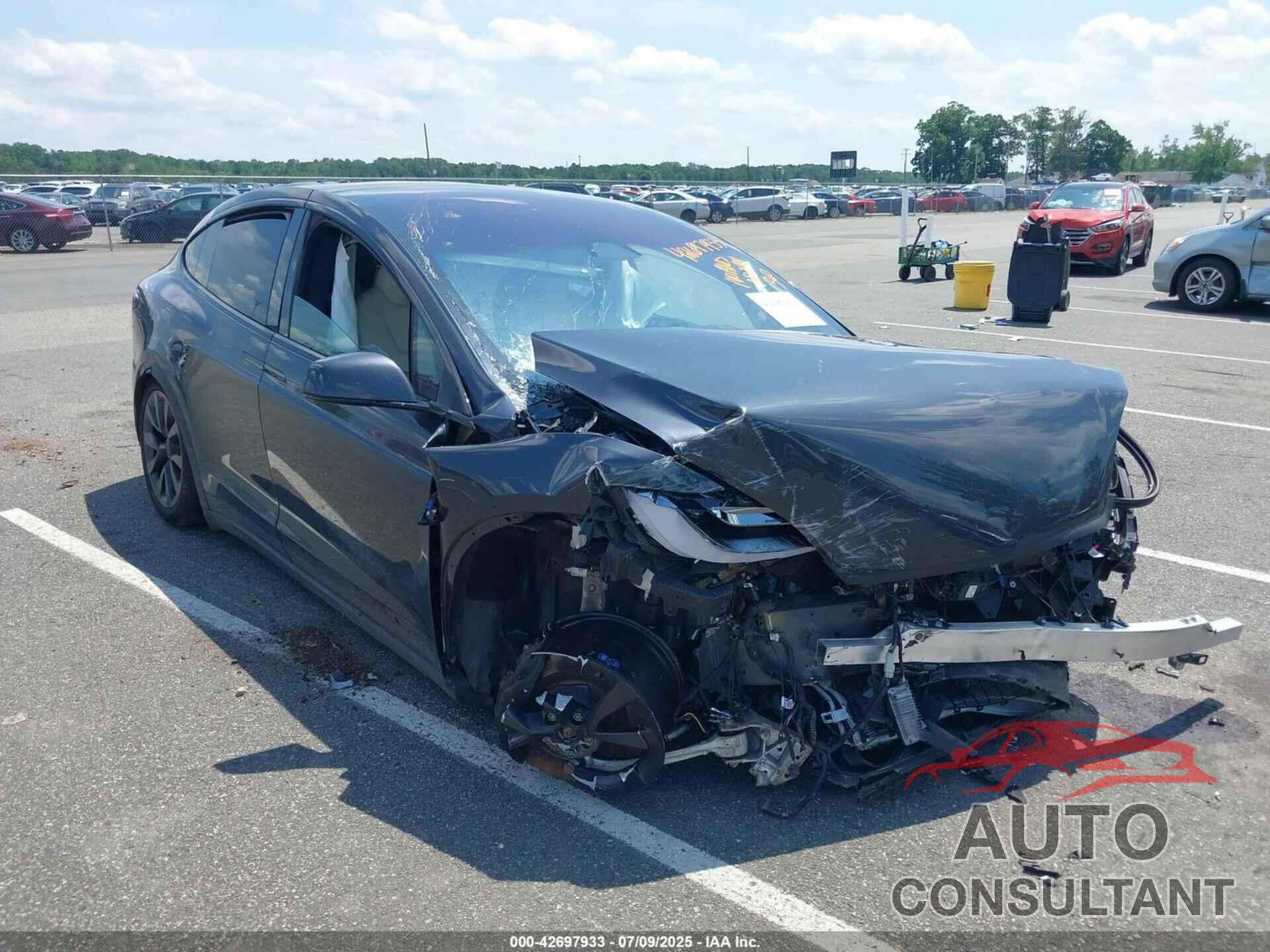 TESLA MODEL X 2024 - 7SAXCBE59RF434845