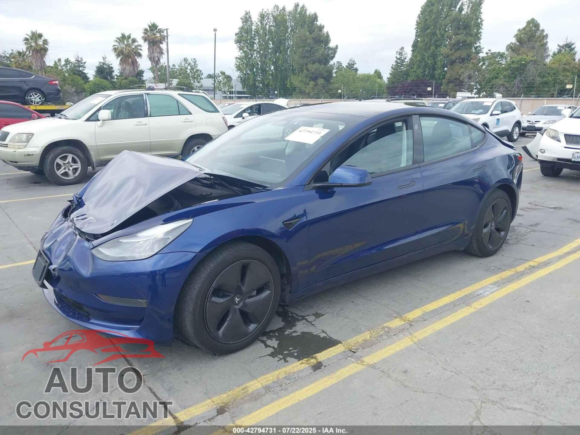 TESLA MODEL 3 2023 - 5YJ3E1EA0PF716270