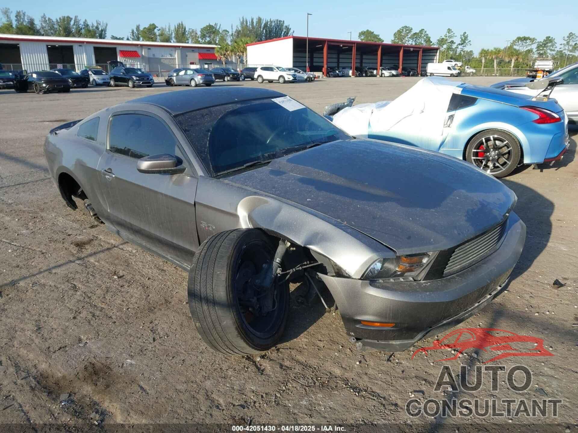 FORD MUSTANG 2011 - 1ZVBP8CF4B5154989