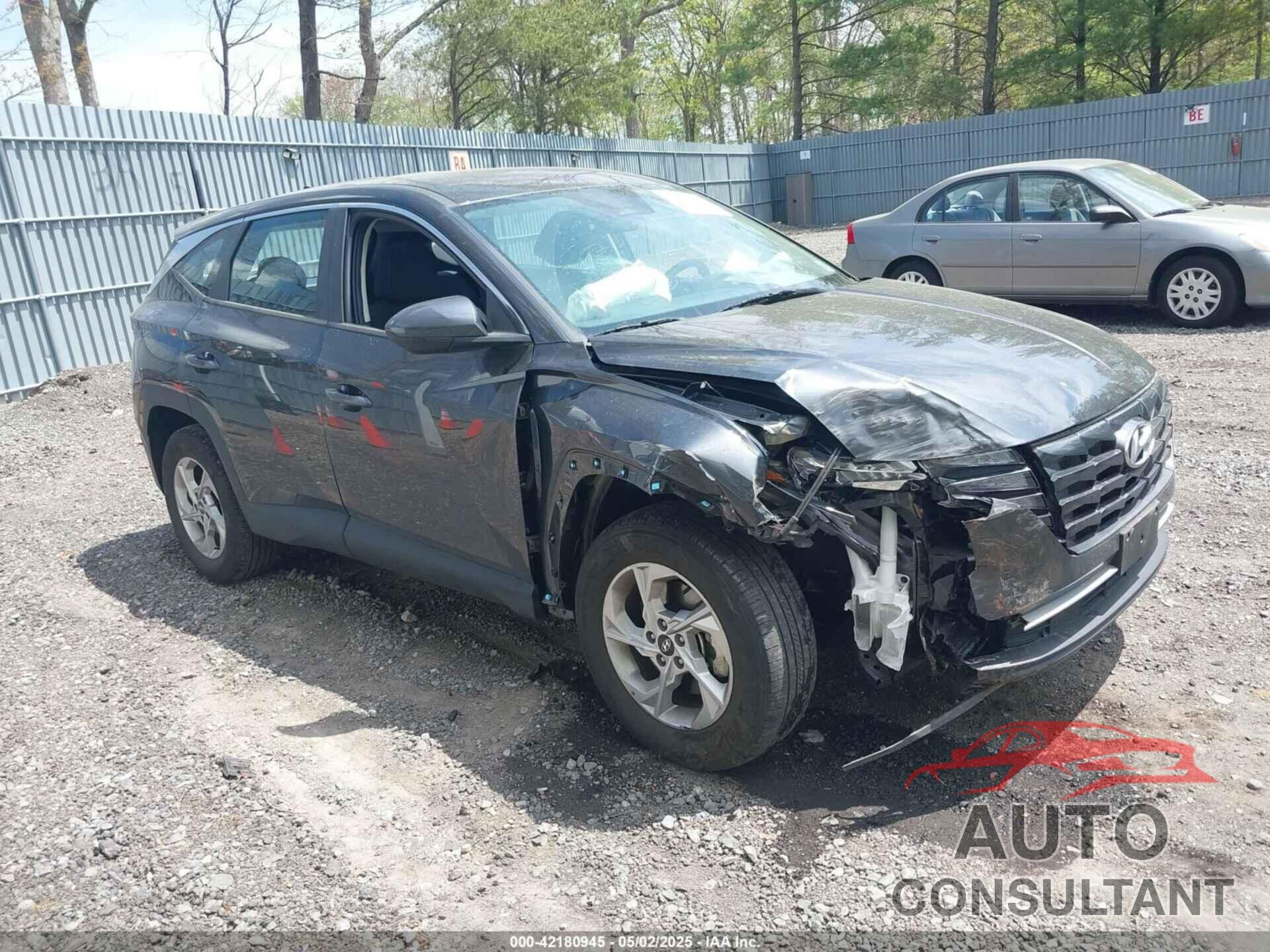 HYUNDAI TUCSON 2024 - 5NMJACDE3RH326168