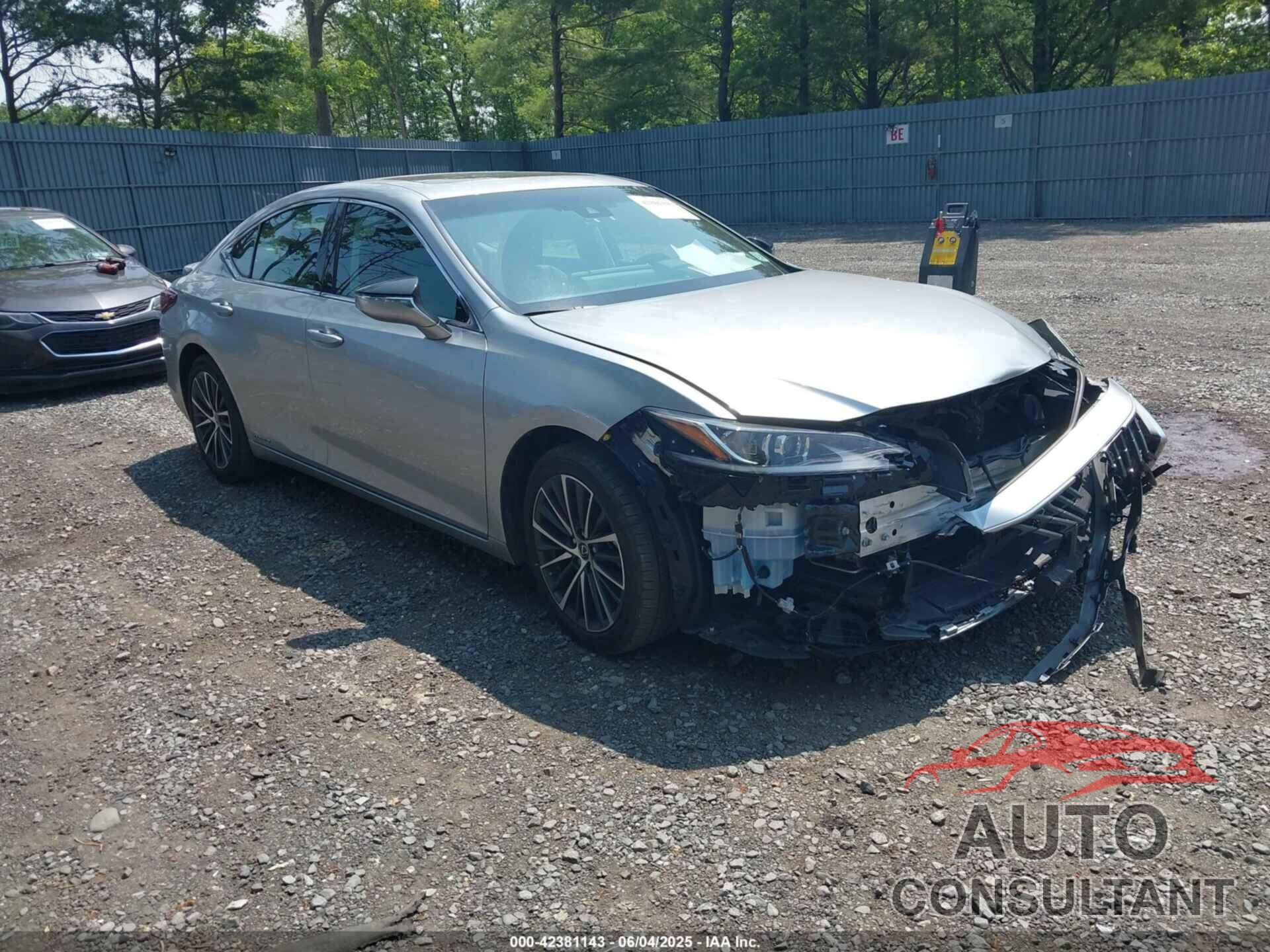 LEXUS ES 300H 2022 - 58ADA1C13NU017386