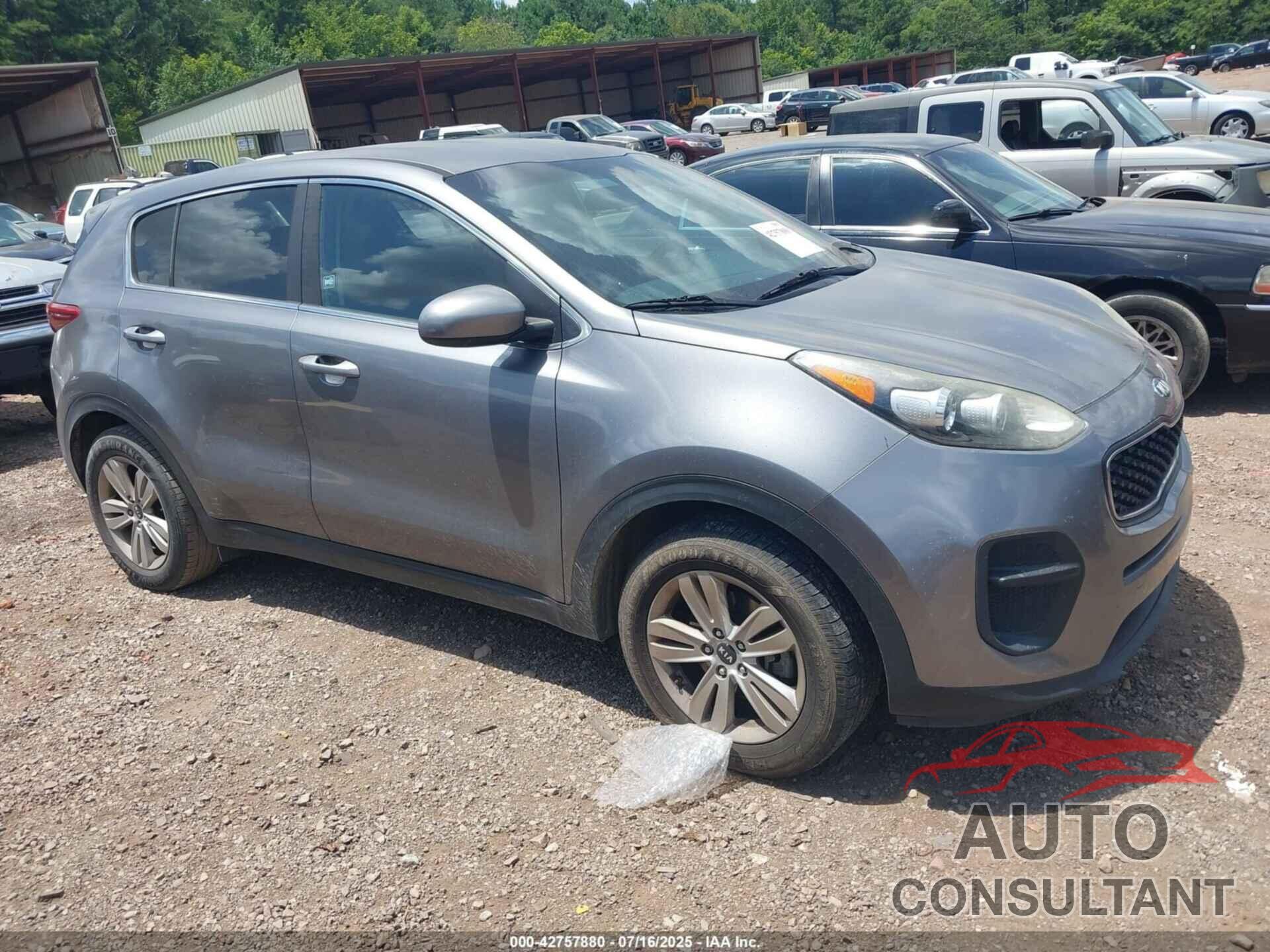 KIA SPORTAGE 2017 - KNDPM3AC5H7176722