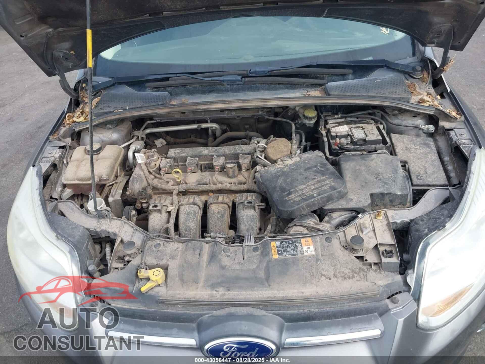 FORD FOCUS 2014 - 1FADP3K29EL455213