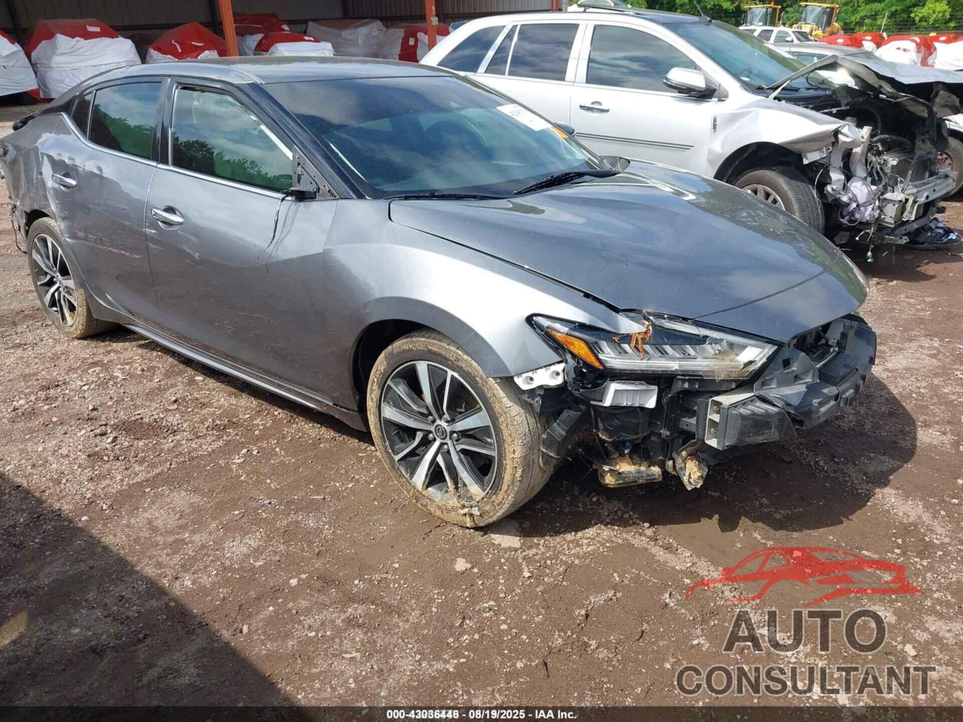 NISSAN MAXIMA 2021 - 1N4AA6CV4MC503018