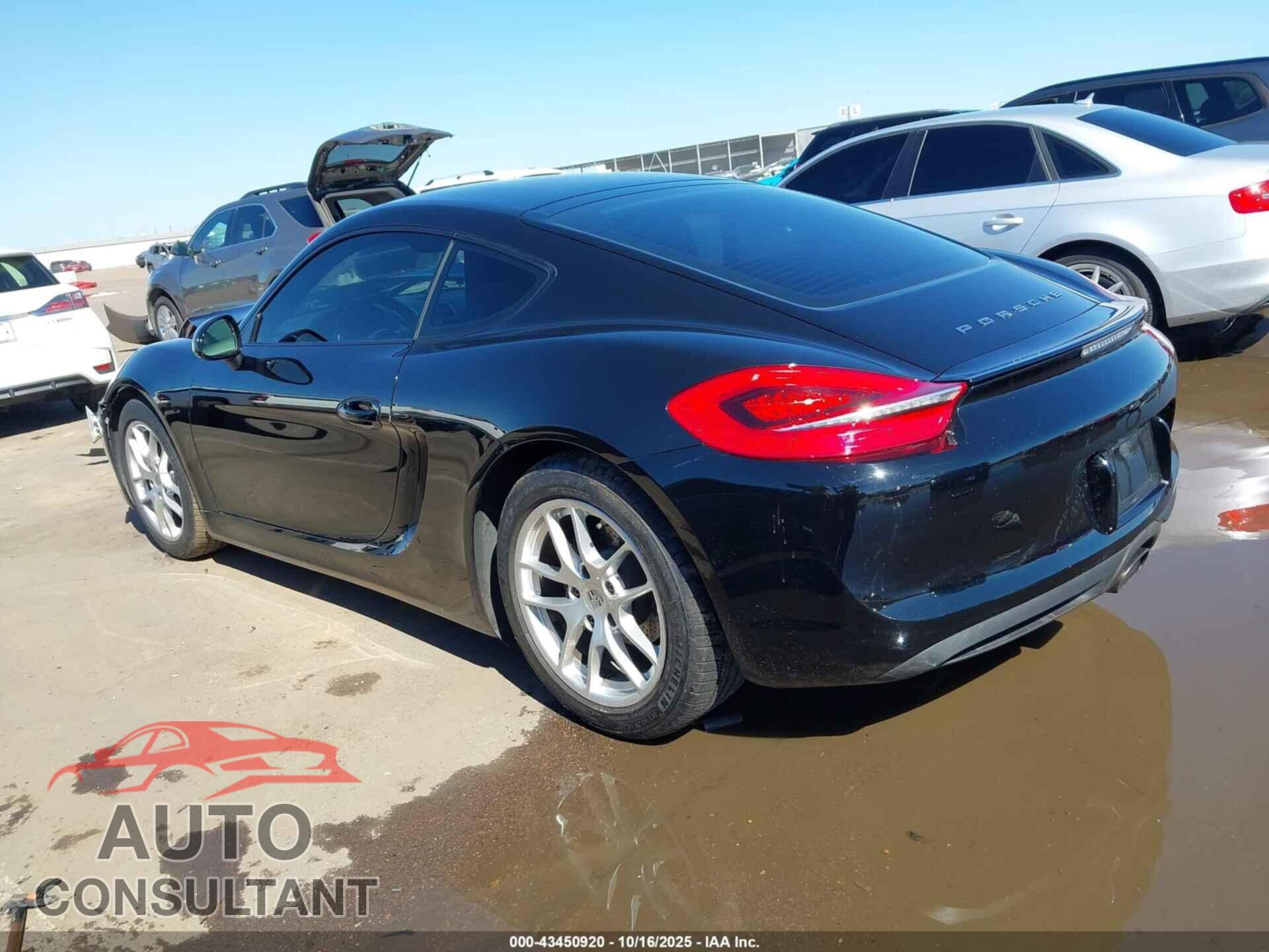 PORSCHE CAYMAN 2014 - WP0AA2A87EK171793