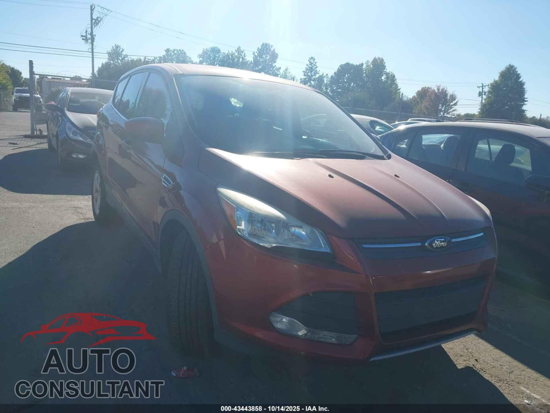 FORD ESCAPE 2014 - 1FMCU0GX4EUD48612