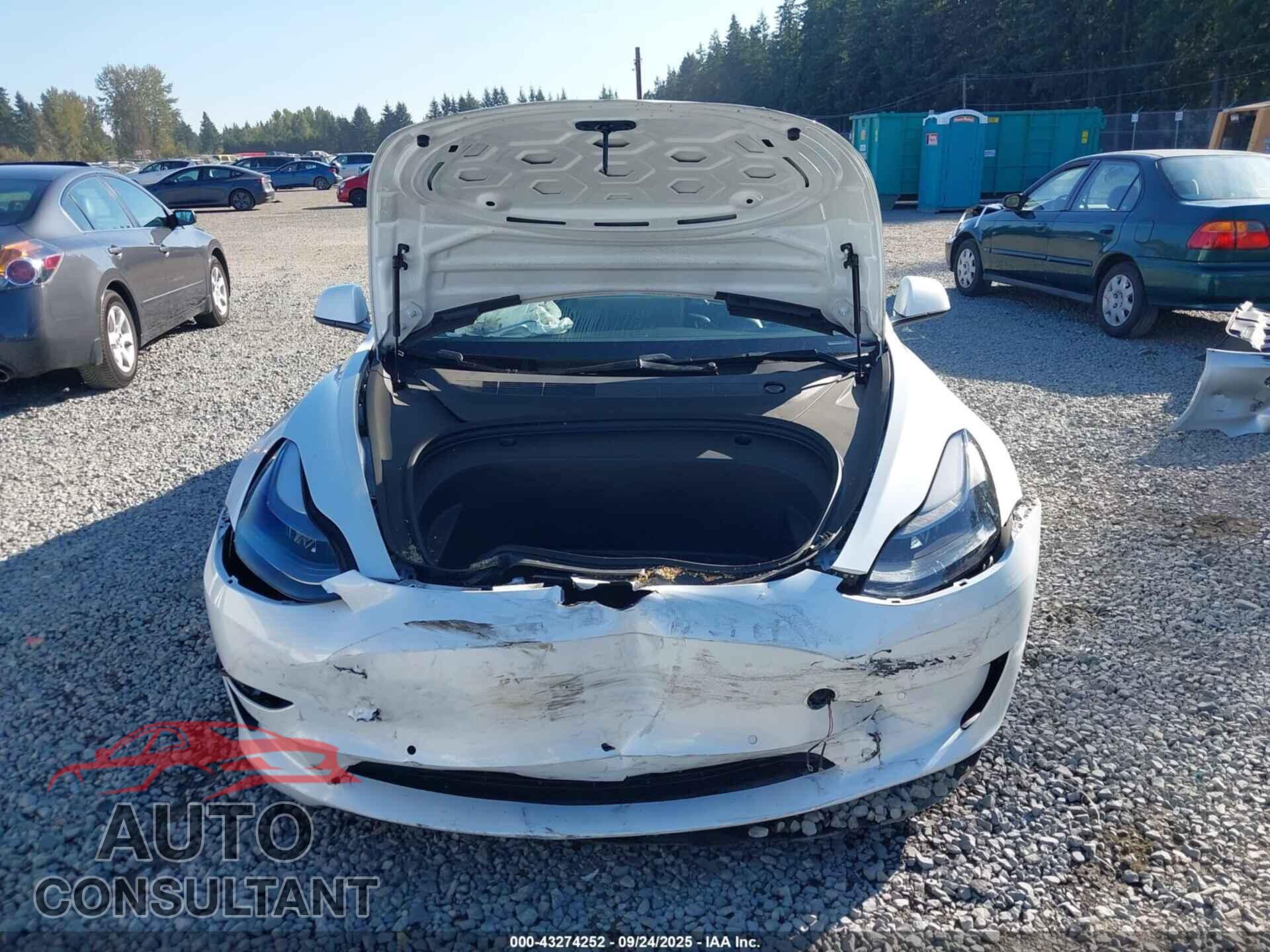 TESLA MODEL 3 2021 - 5YJ3E1EA2MF918331