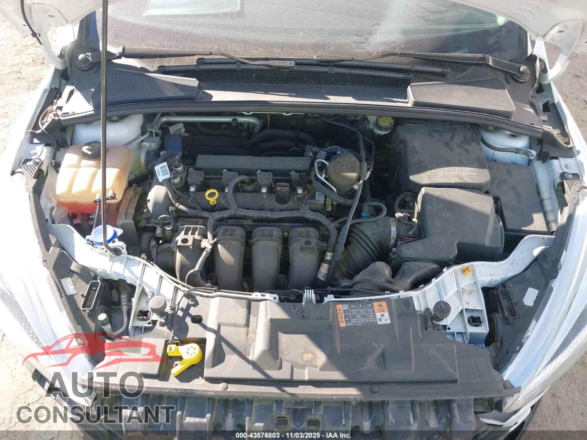 FORD FOCUS 2016 - 1FADP3F2XGL303325