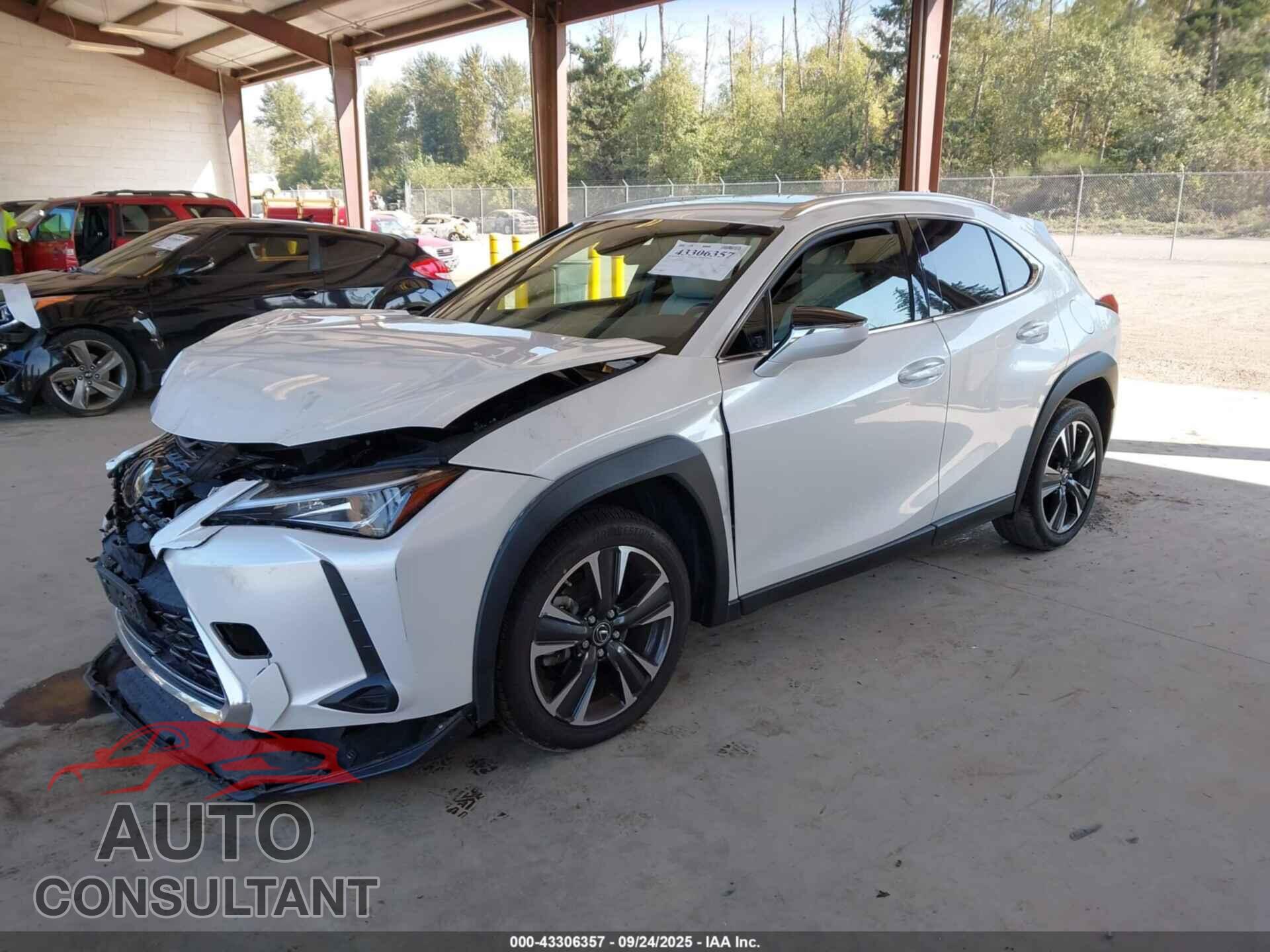 LEXUS UX 200 2019 - JTHY3JBH8K2014530